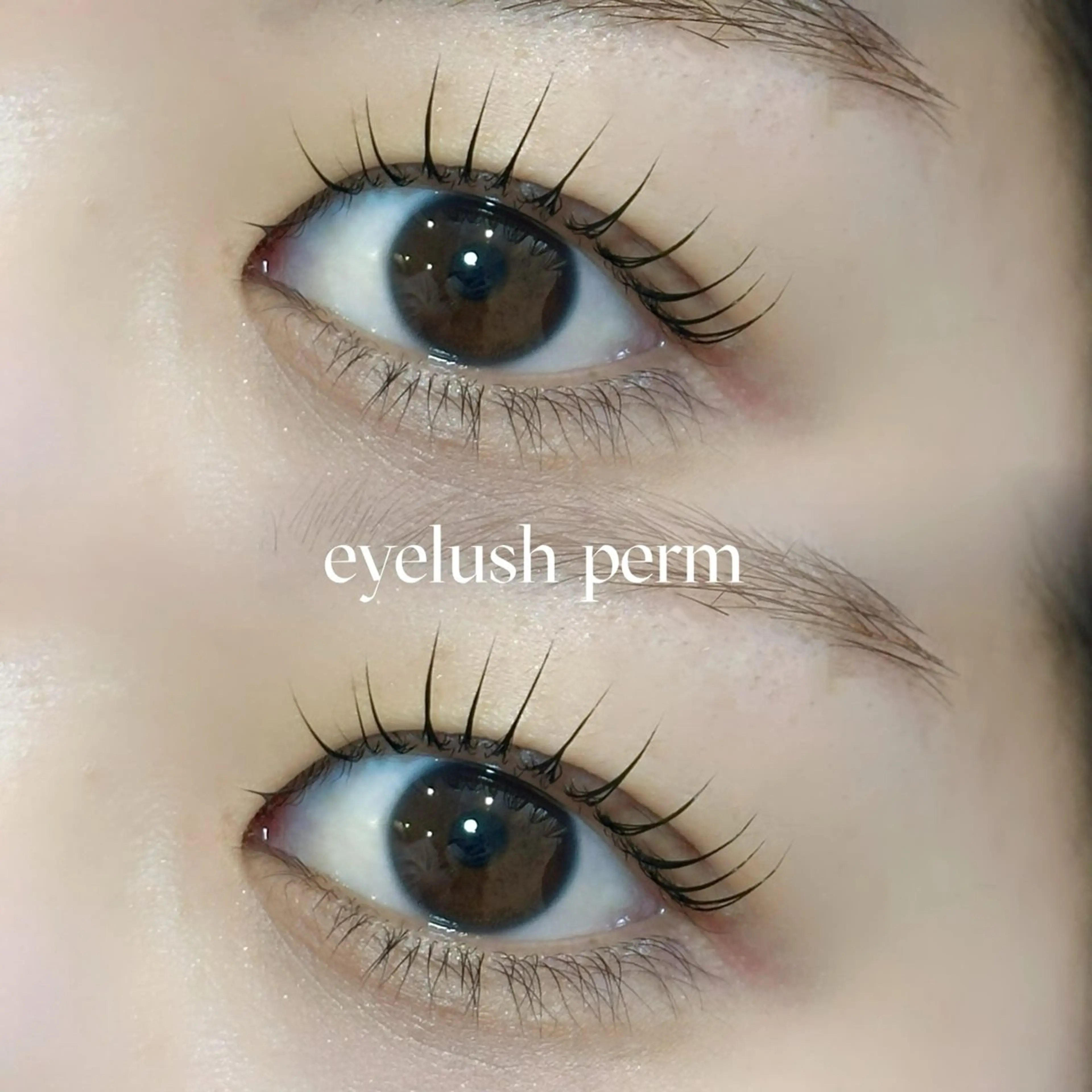 マツエク・マツパ マツパ kyoka 🌼の眉毛・アイブロウイメージ