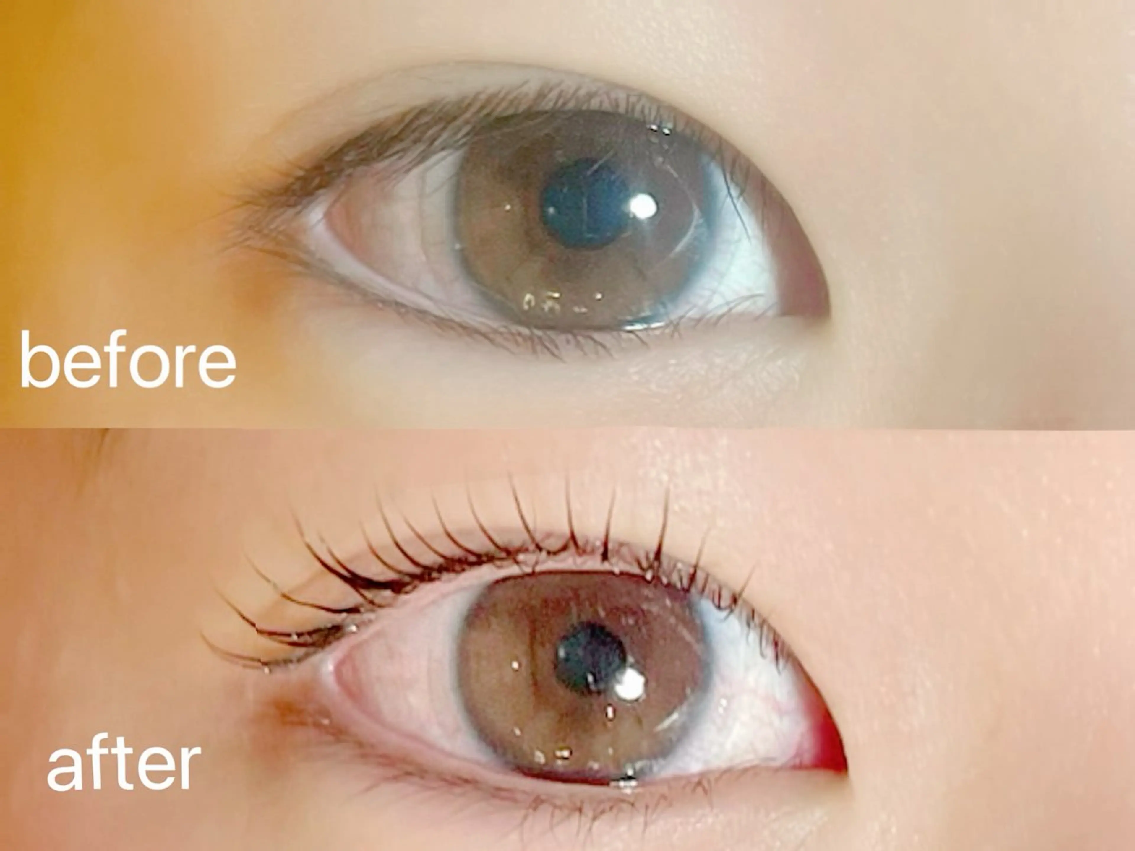 マツエク・マツパ マツパ ikoi yukaのヘアスタイル