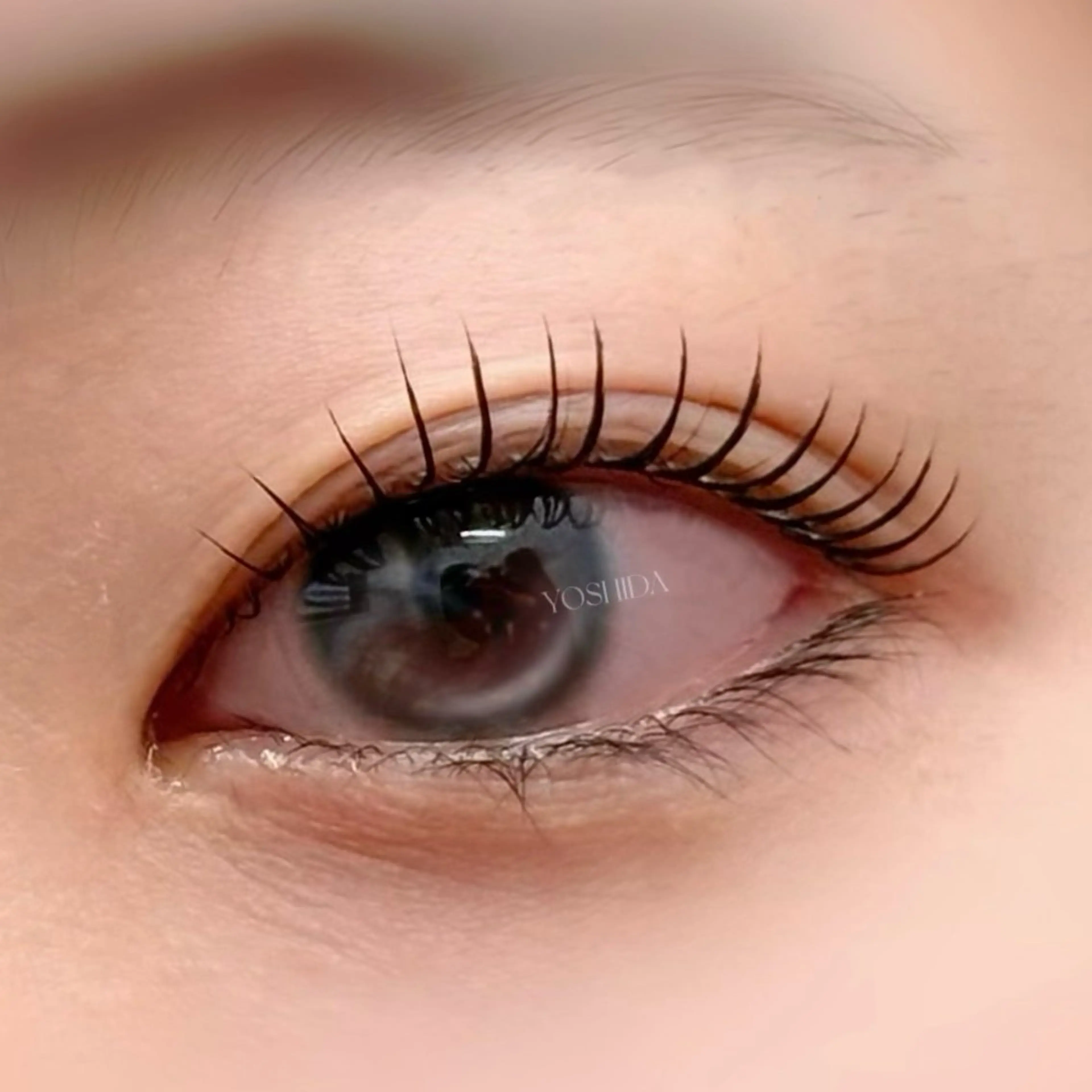 マツエク・マツパ マツパ 【一重┊︎奥二重】 YOSHIDA🌙のマツエク・マツパデザイン