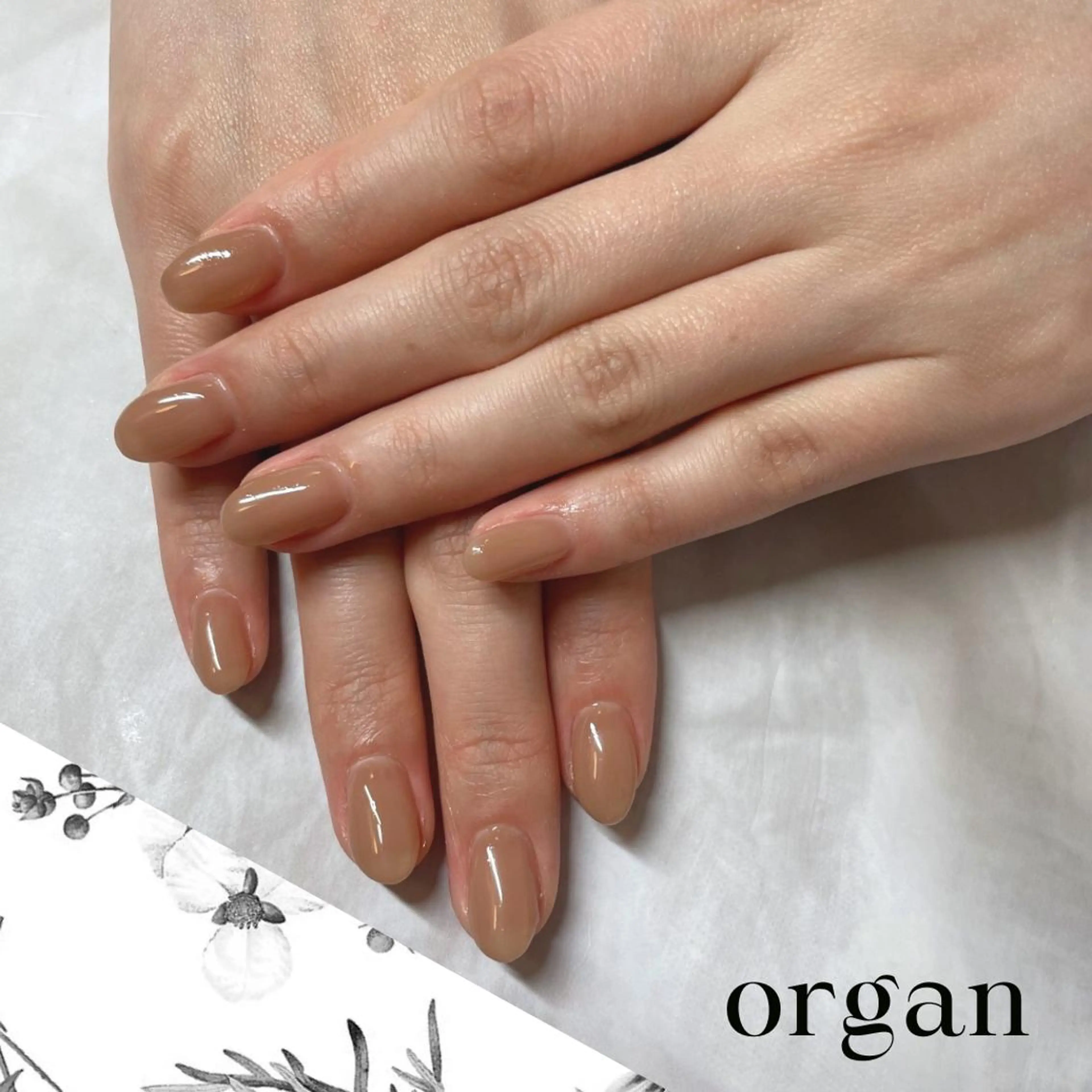 ネイル ワンカラーネイル 【ＯＲＧＡＮ】 nailのネイルデザイン