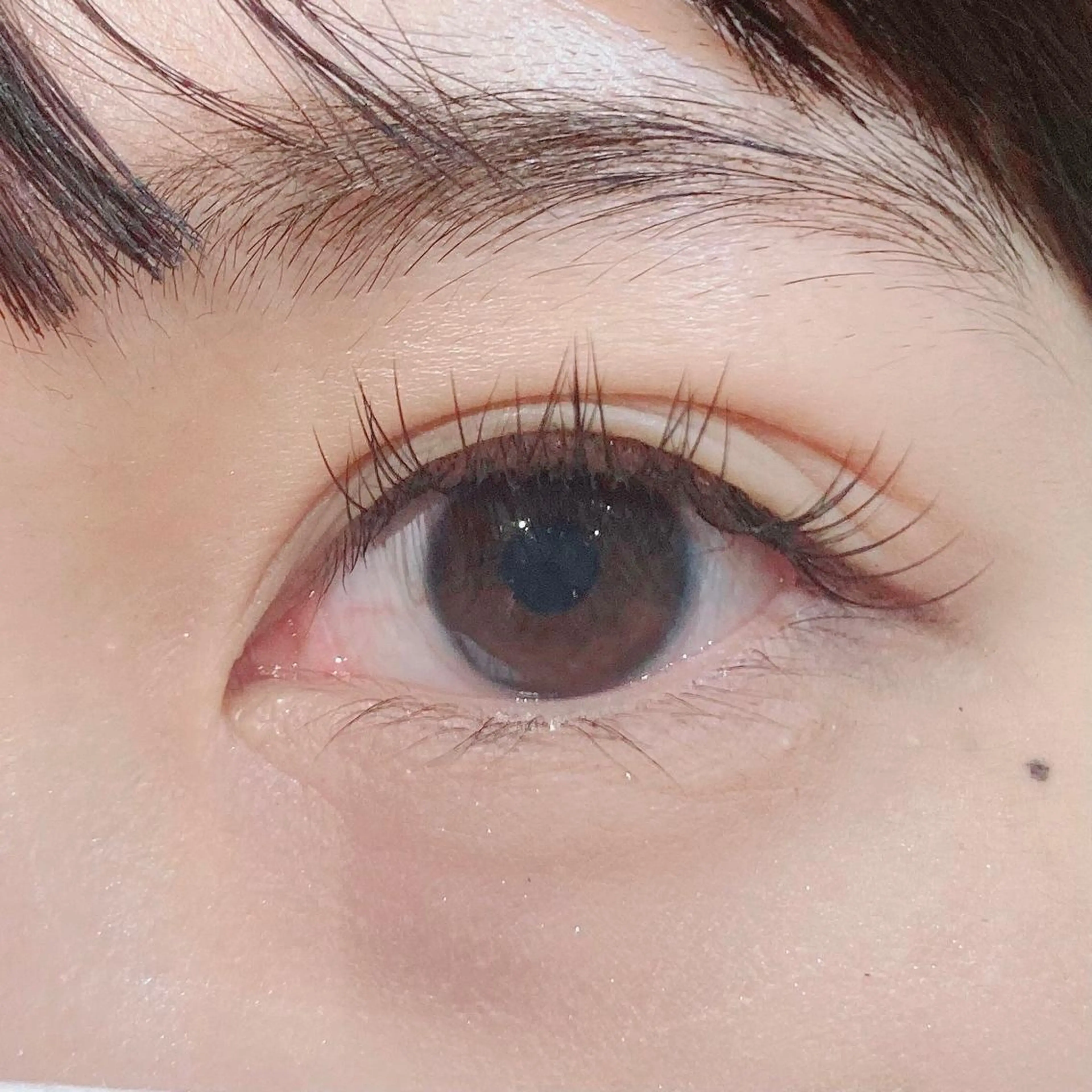 ãããšã¯ã»ããã oriharað ãŸã€ãããŒã/çæ¯ã®ãããšã¯ã»ããããã¶ã€ã³