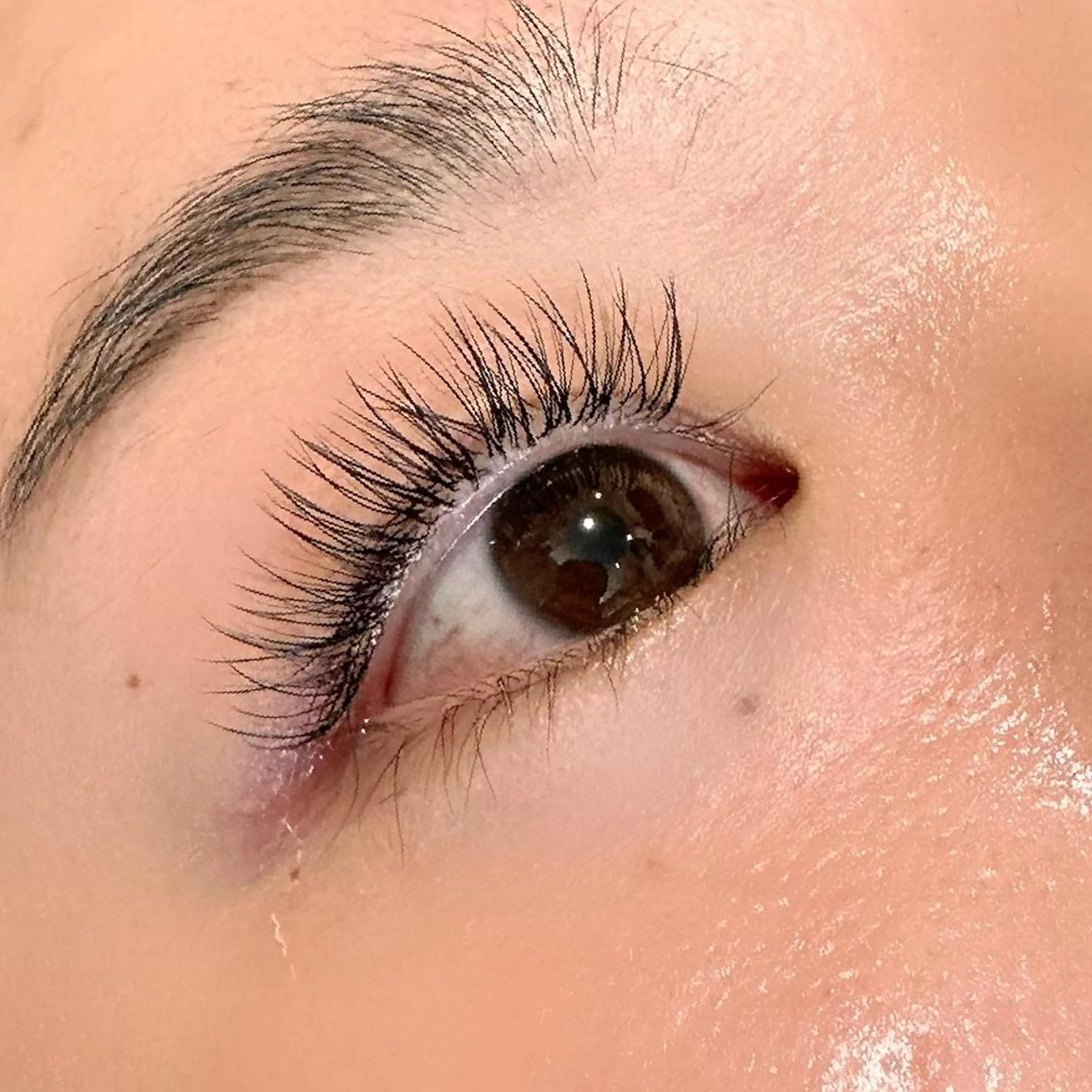 ご新規様限定!フラットラッシュ付け放題✨の写真