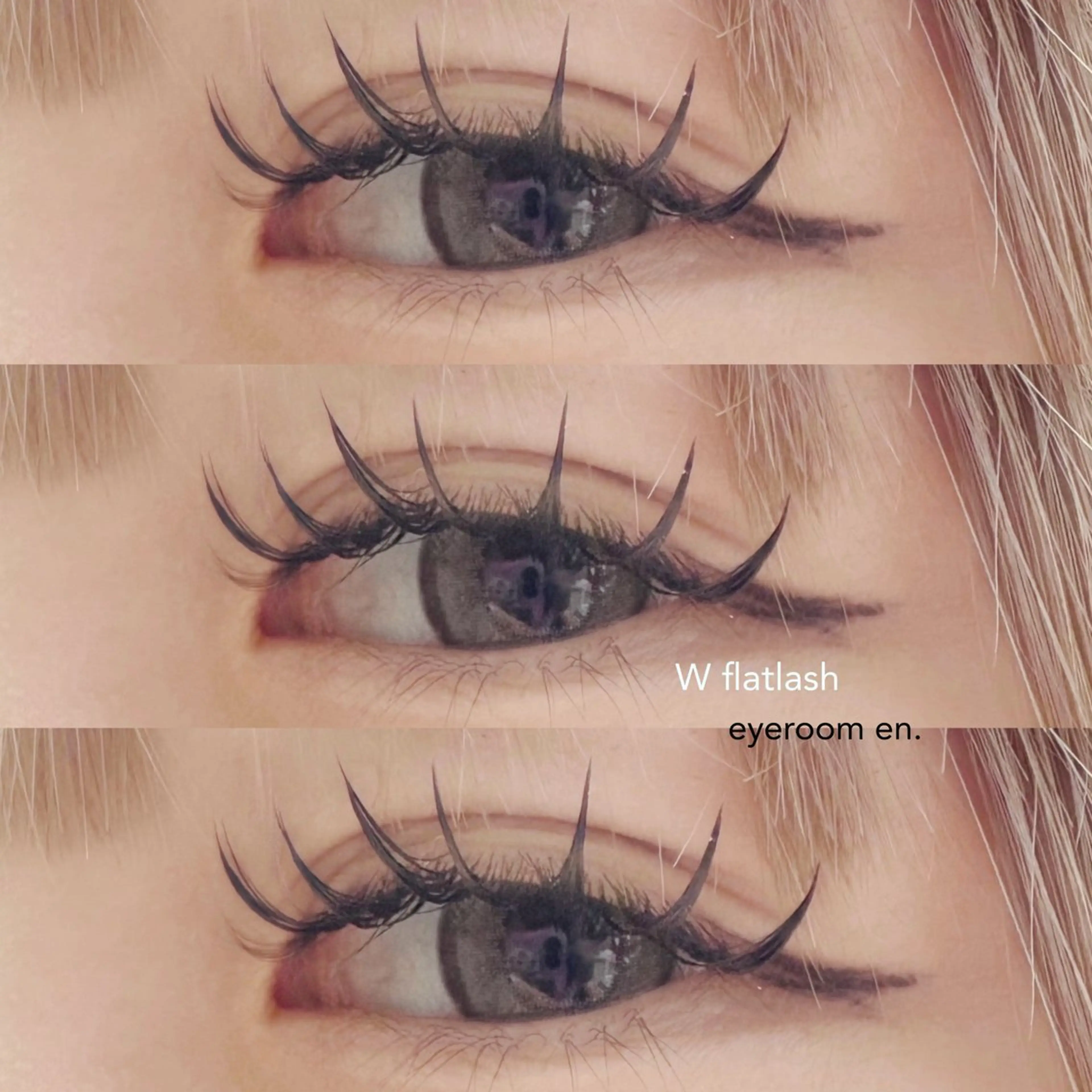 Ｗフラット 120束の写真