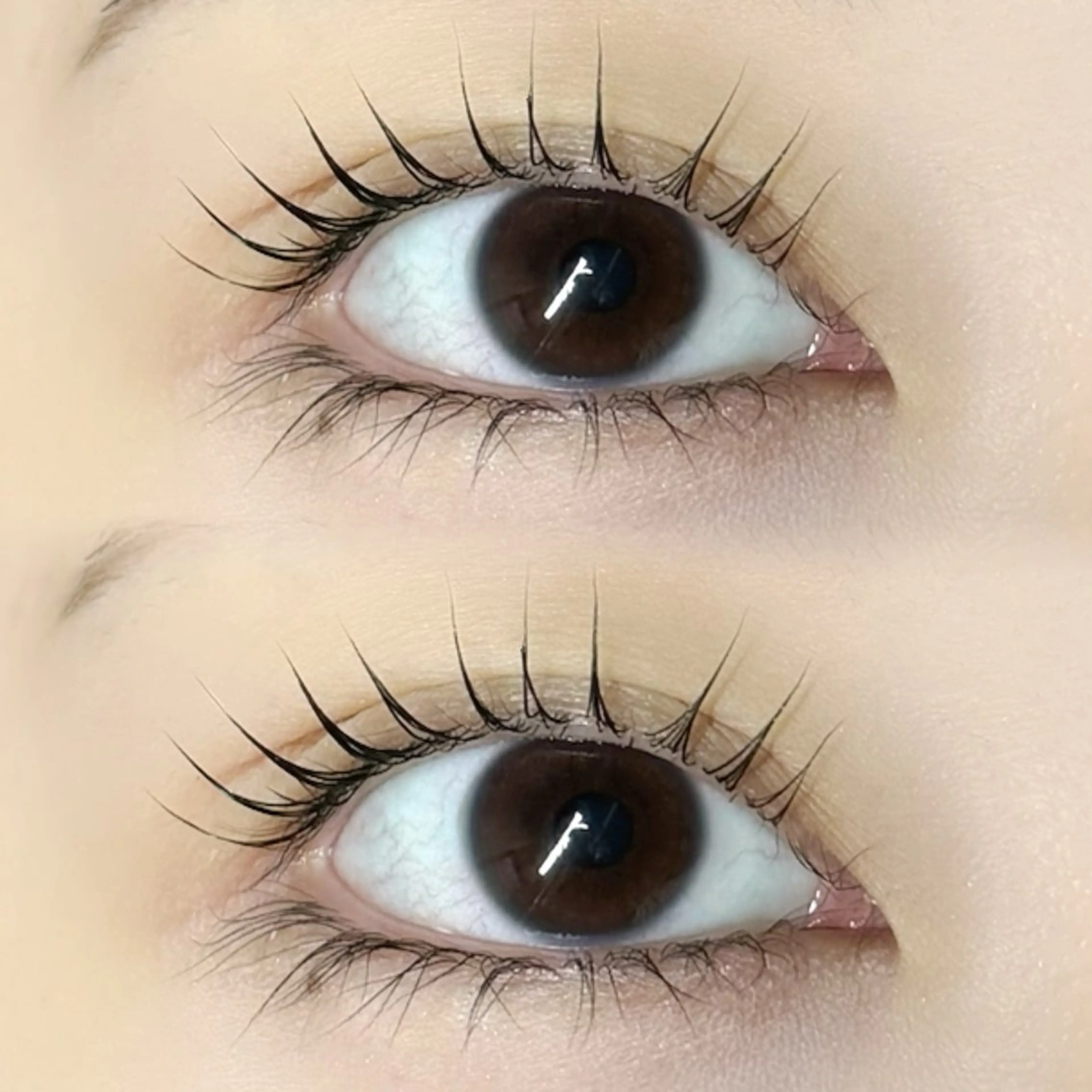 マツエク・マツパ マツパ 🩰yuri🩰 似合わせ/束感のマツエク・マツパデザイン