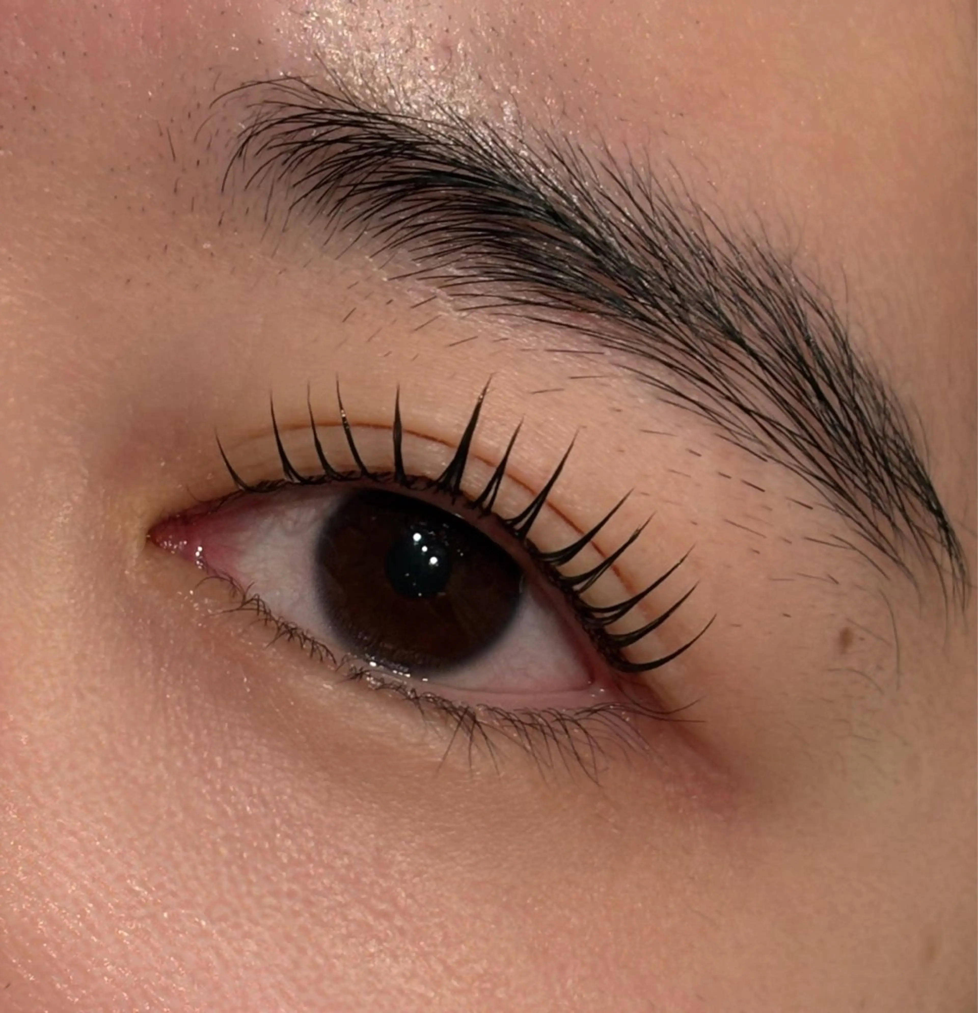 マツエク・マツパ パリジェンヌラッシュリフト andc 久宝寺のマツエク・マツパデザイン