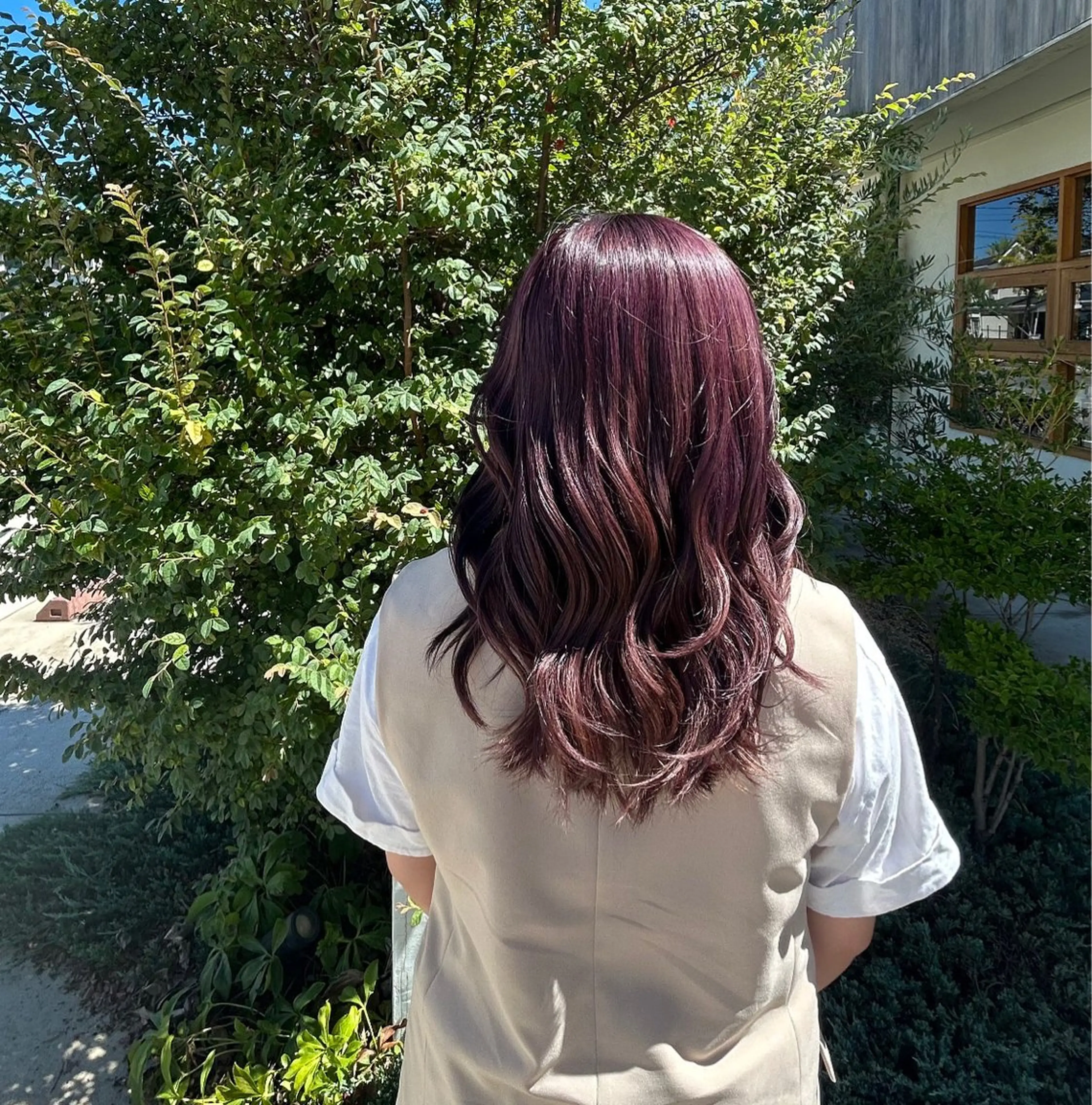 カラー＋Spa or ハニーパック🍯🐝🫧の写真