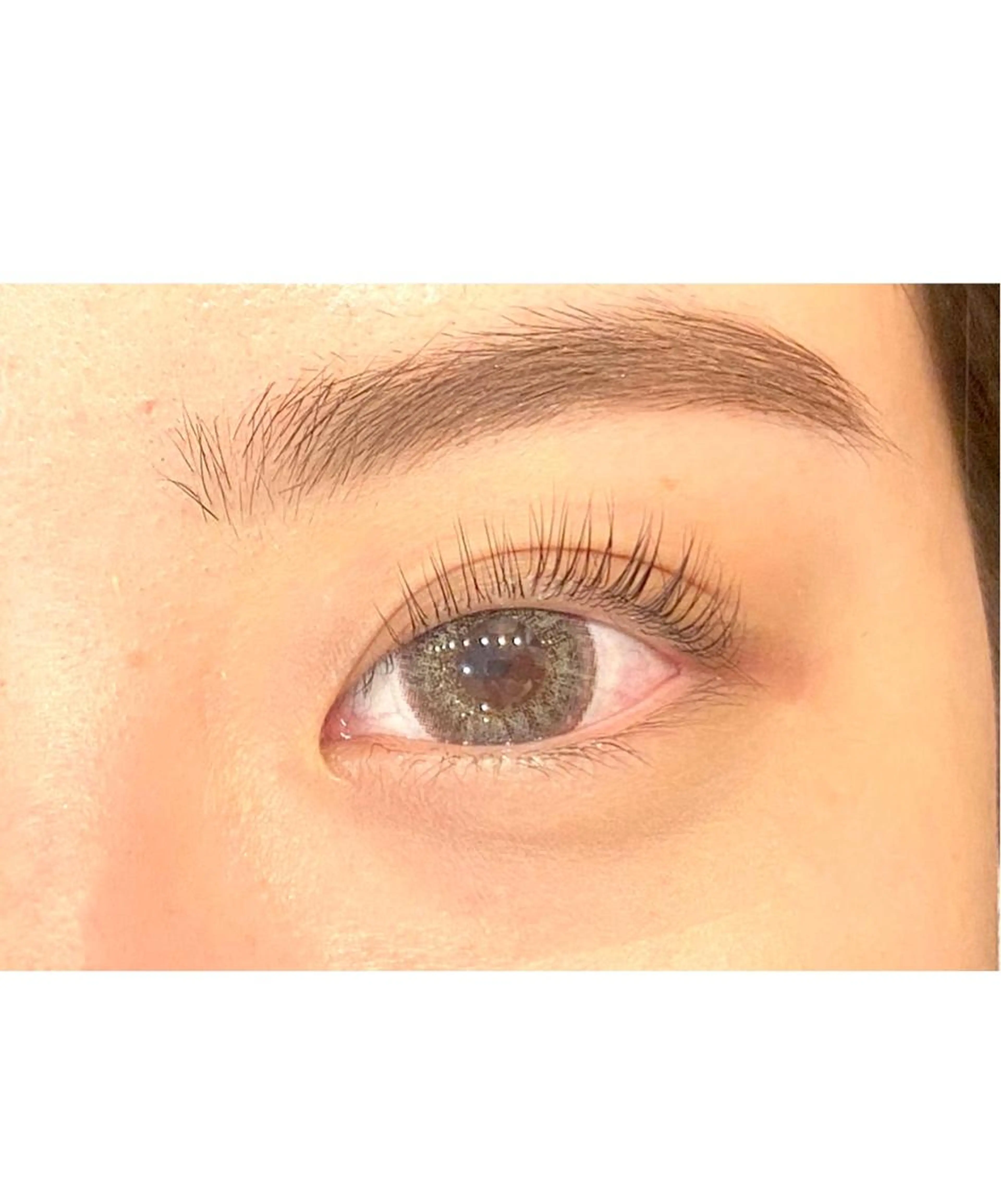 ✨2月7日限定価格✨パリジェンヌラッシュリフト（最終受付17時半）の写真