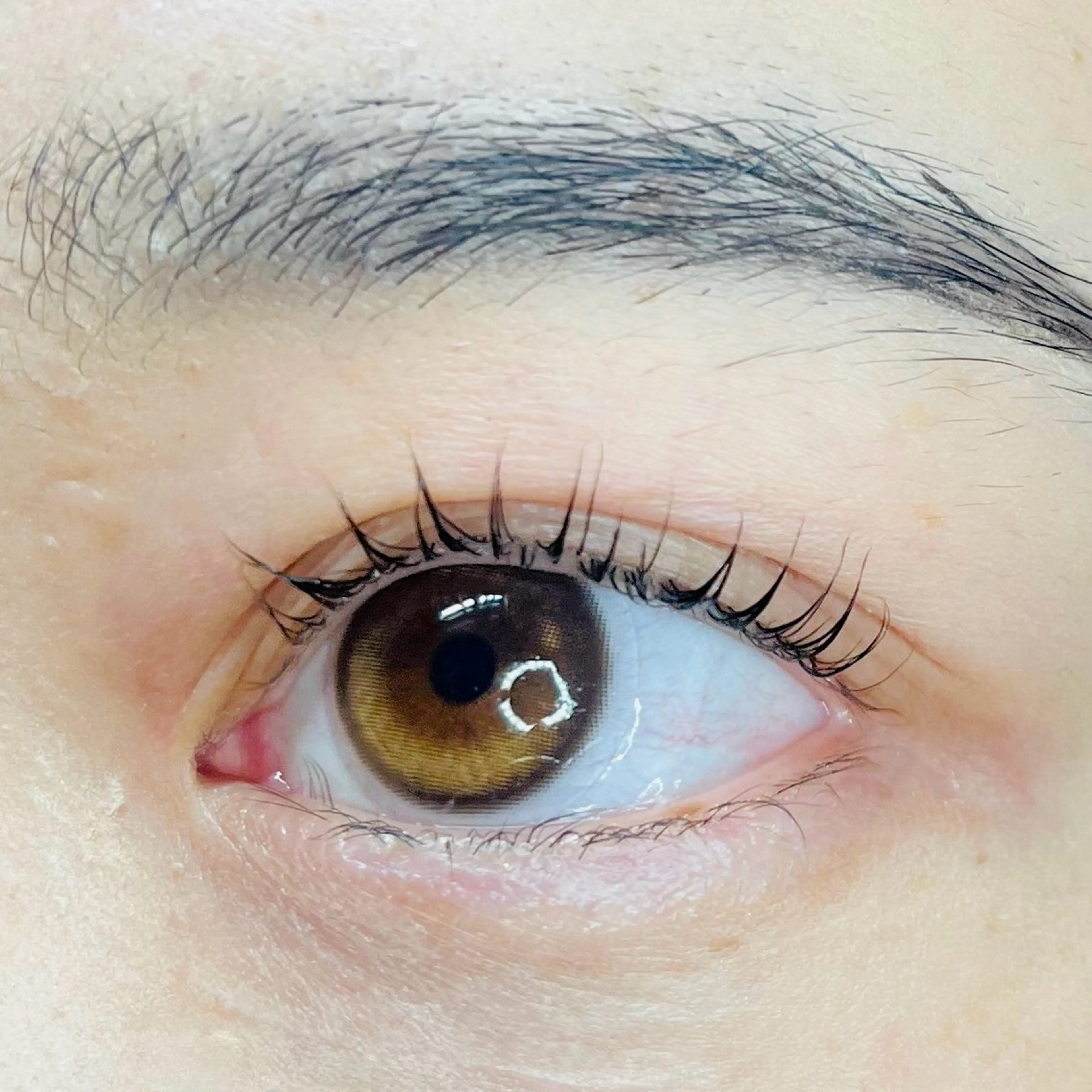 マツエク・マツパ パリジェンヌラッシュリフト sacco名駅/ Amiのマツエク・マツパデザイン