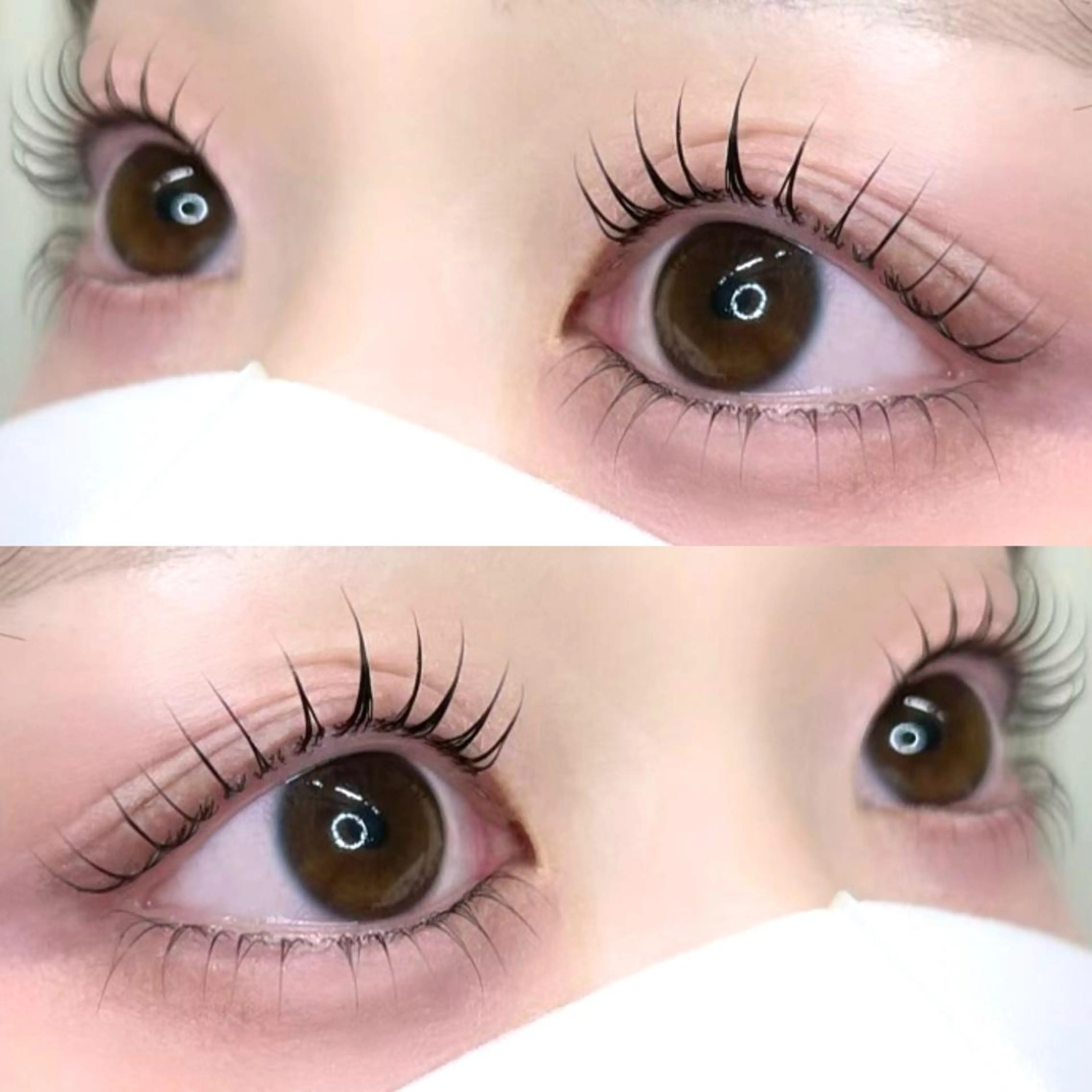 🪄🫧束感まつ毛💖パリジェンヌラッシュリフトorカールデザイン＋コーティングの写真