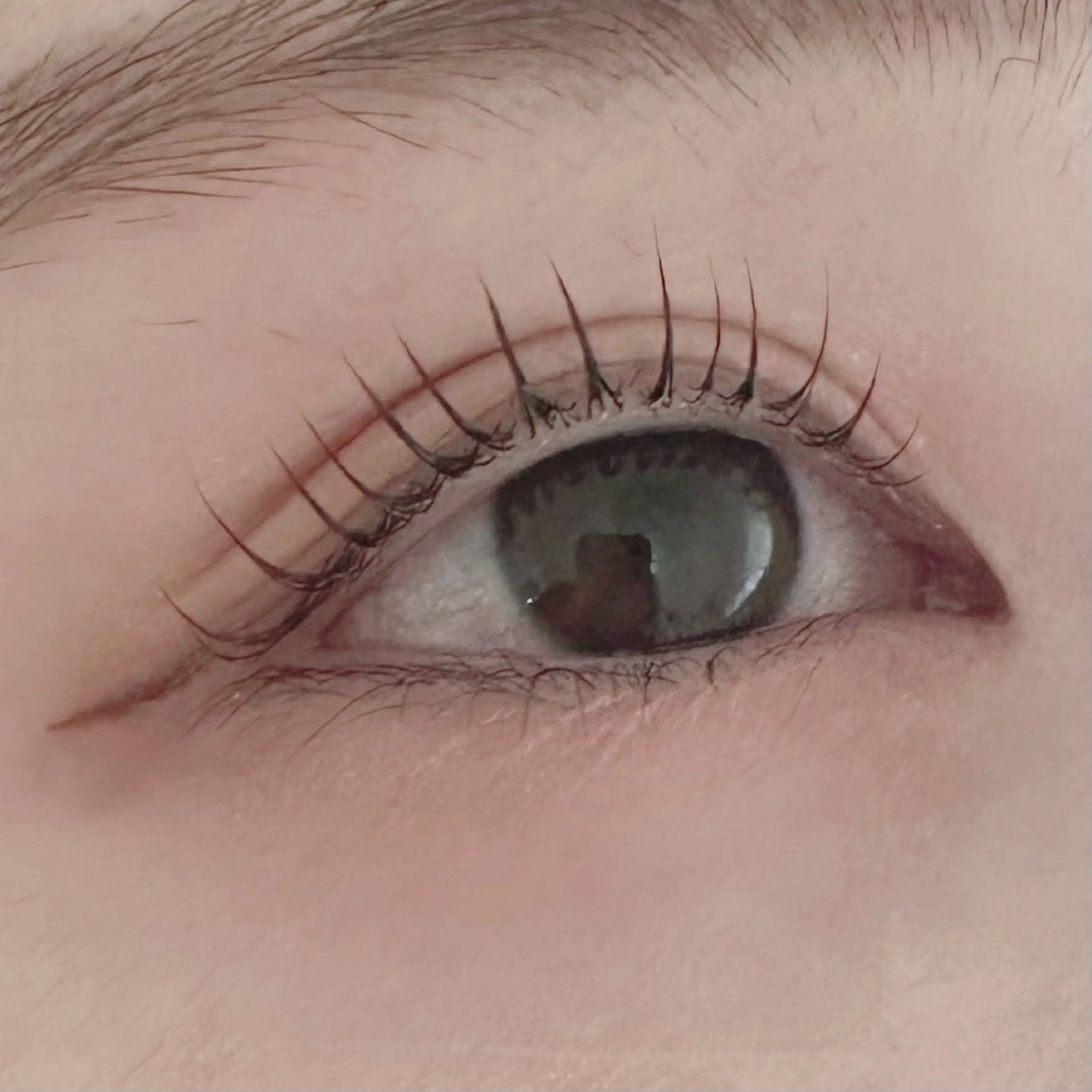 期間限定【人気No.1】🫧ラッシュリフト🫧＋美容コーティング ¥4,500の写真