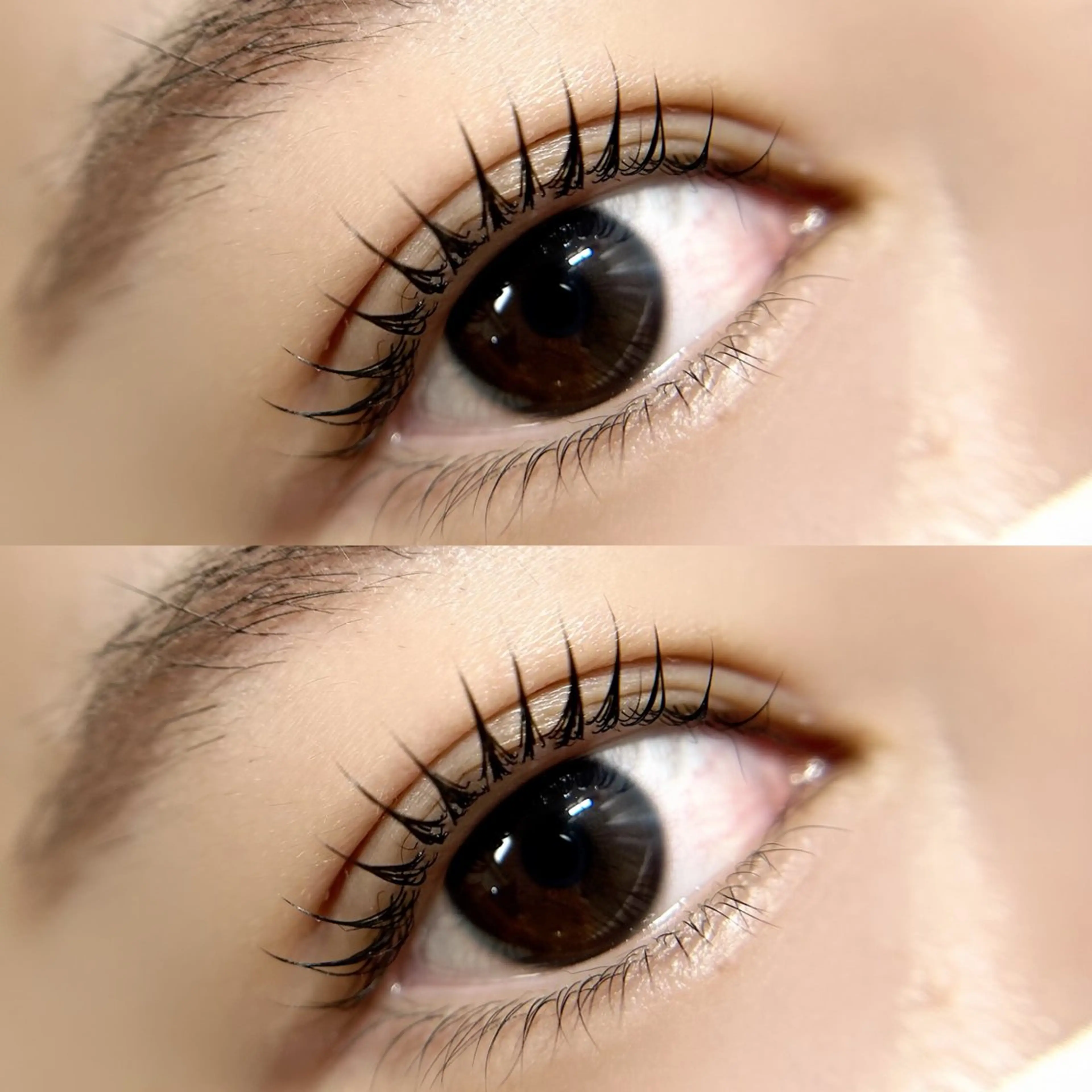 マツエク・マツパ peTiT京橋店🌷 YAMASAKIのマツエク・マツパデザイン