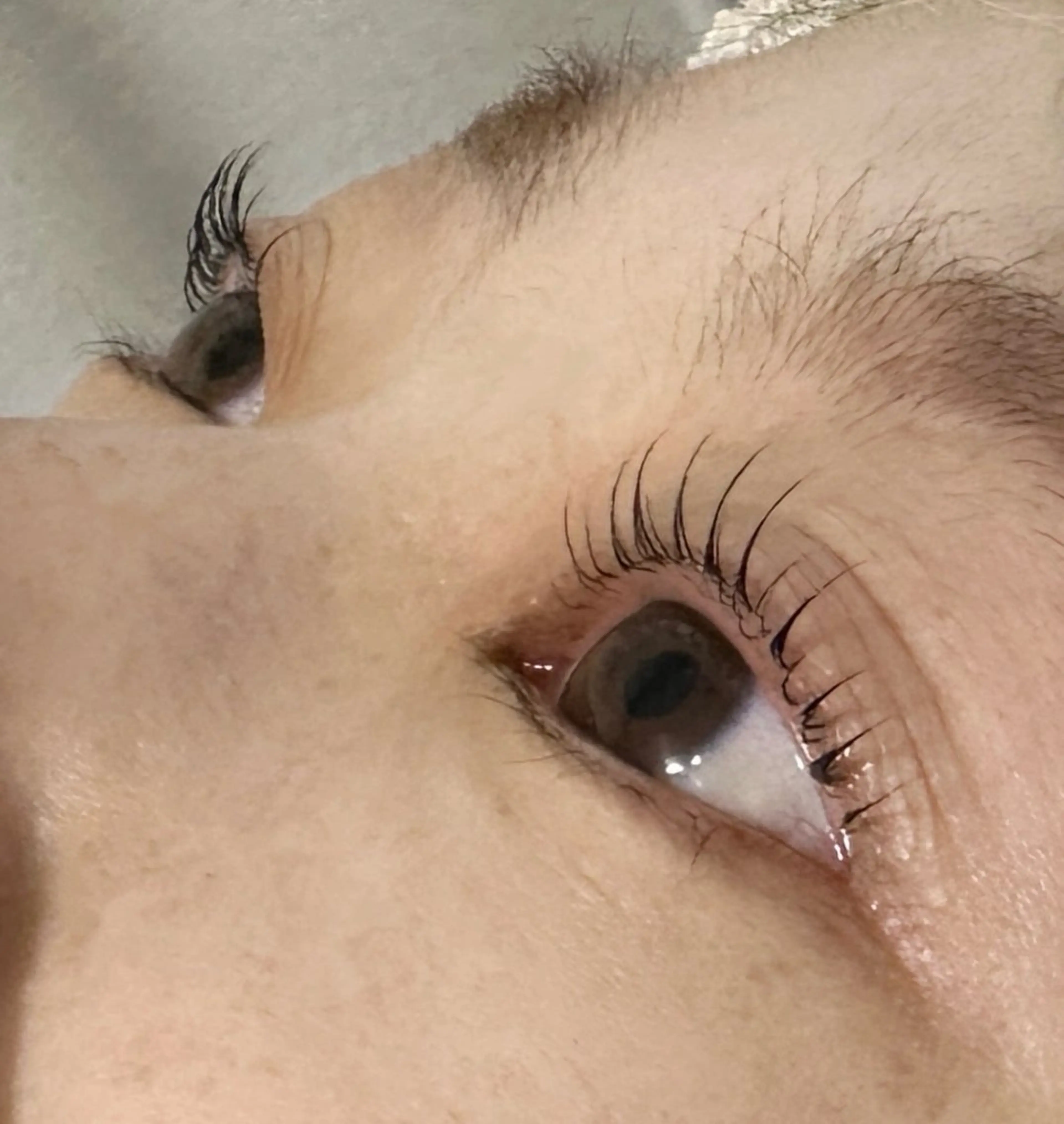 マツエク・マツパ マツパ マリーテレジア 錦糸町OGAWAのマツエク・マツパデザイン