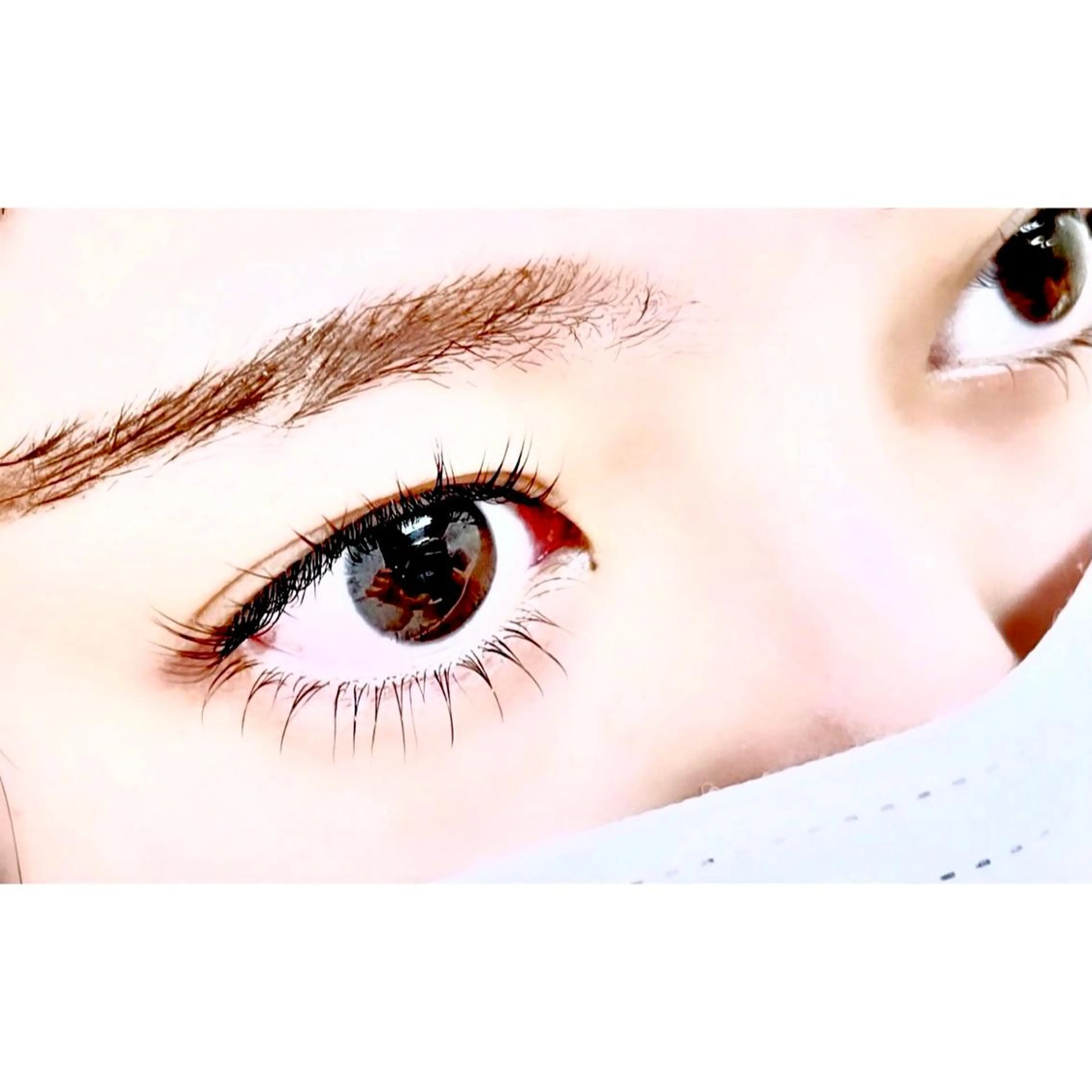 ラッシュリフト【下】のみの写真