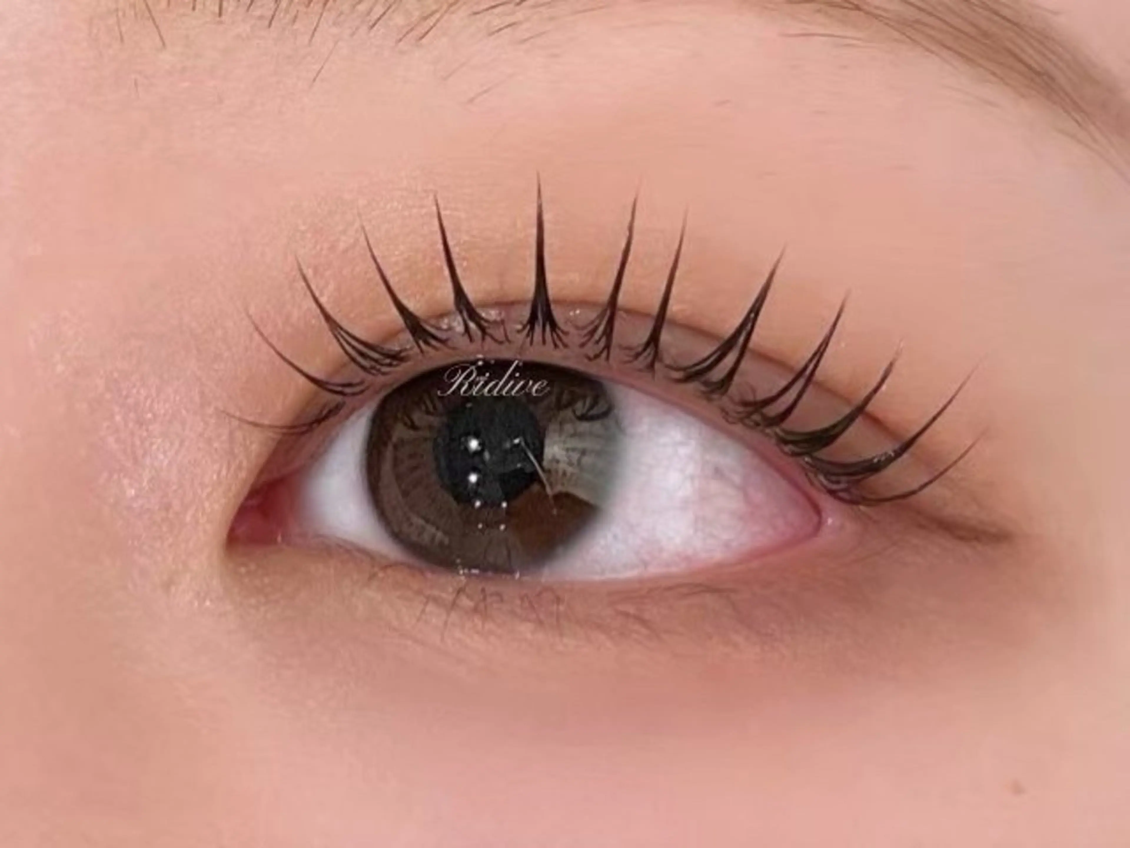 まつ毛パーマ/パリジェンヌ 上のみ🇰🇷🩶韓国ロッド対応＋ケラチンTrケア＆束感仕上げの写真