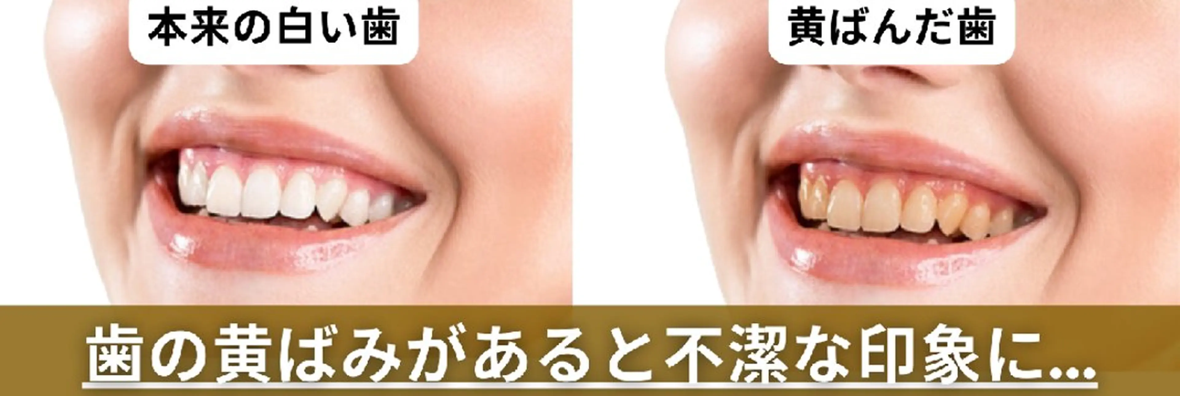 歯科提携セルフダック 宇都宮駒生店のエステ・リラクイメージ