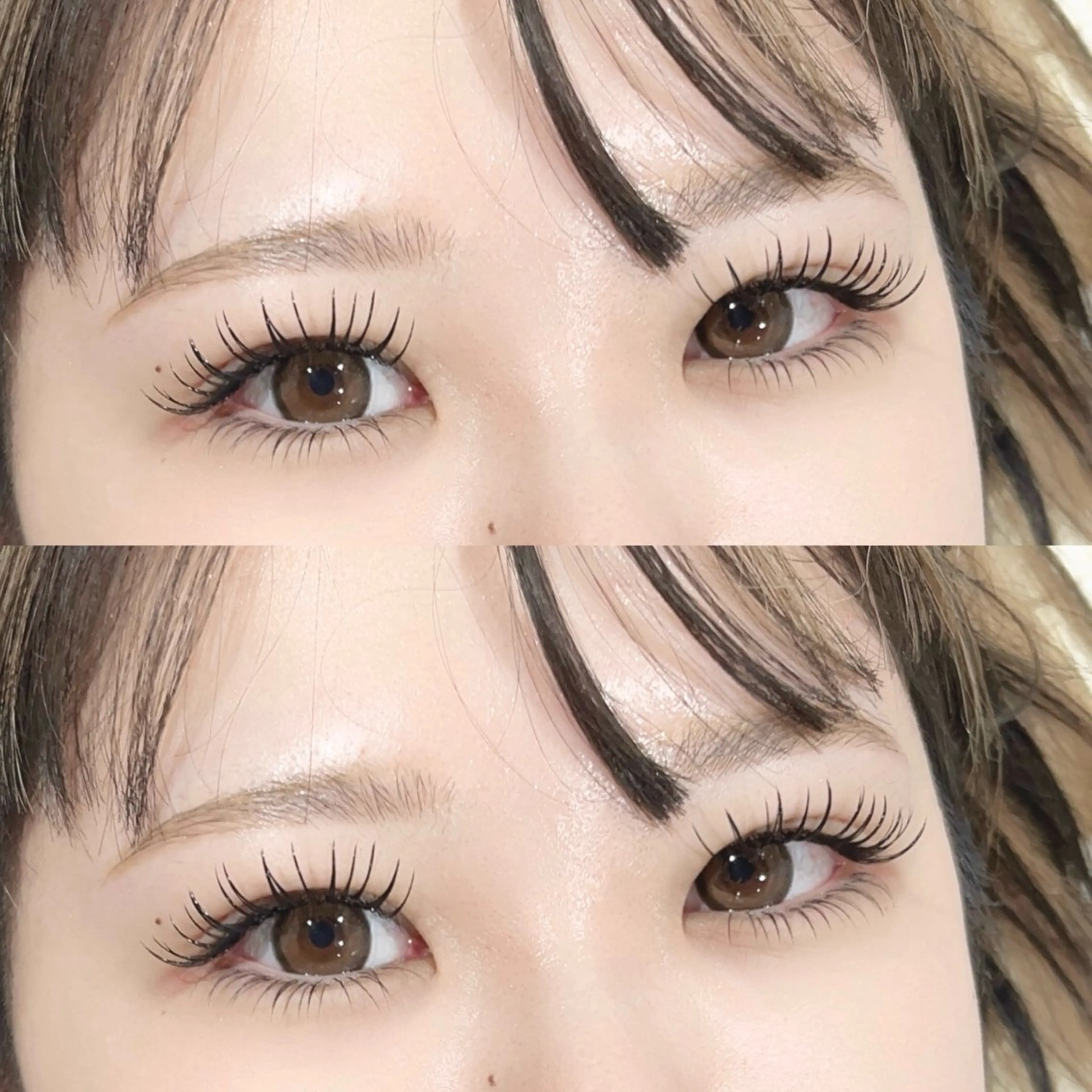 上下マツエク90分コース🌞(＋別途料金で毛質変更🉑)の写真