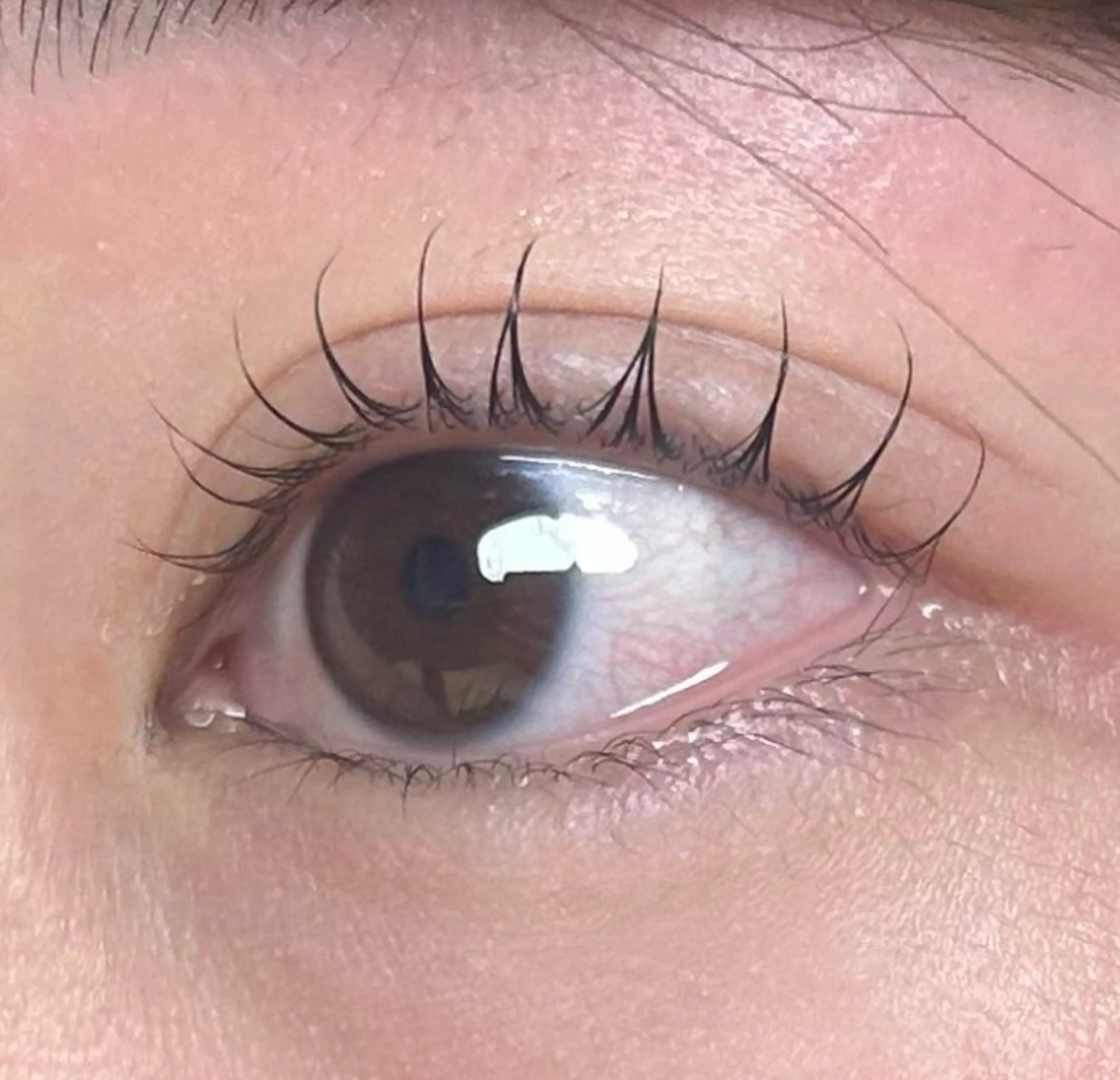 ‼️ミニモ限定価格‼️Miro by king心斎橋店💕🫧スタンダードまつ毛パーマ💕🫧の写真