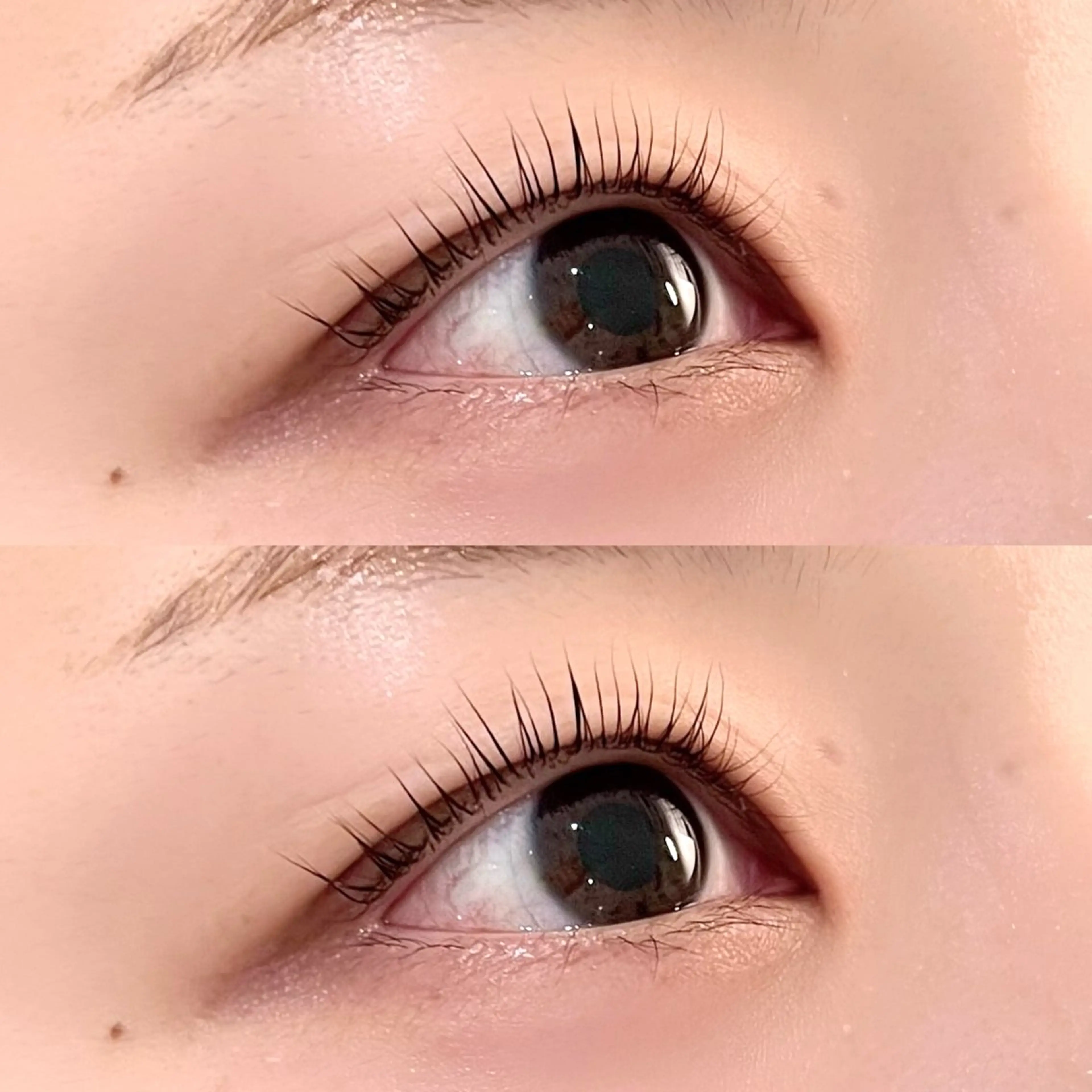 マツエク・マツパ マツパ ｻ ﾏ ﾀ ﾊ ﾙ ｶのマツエク・マツパデザイン