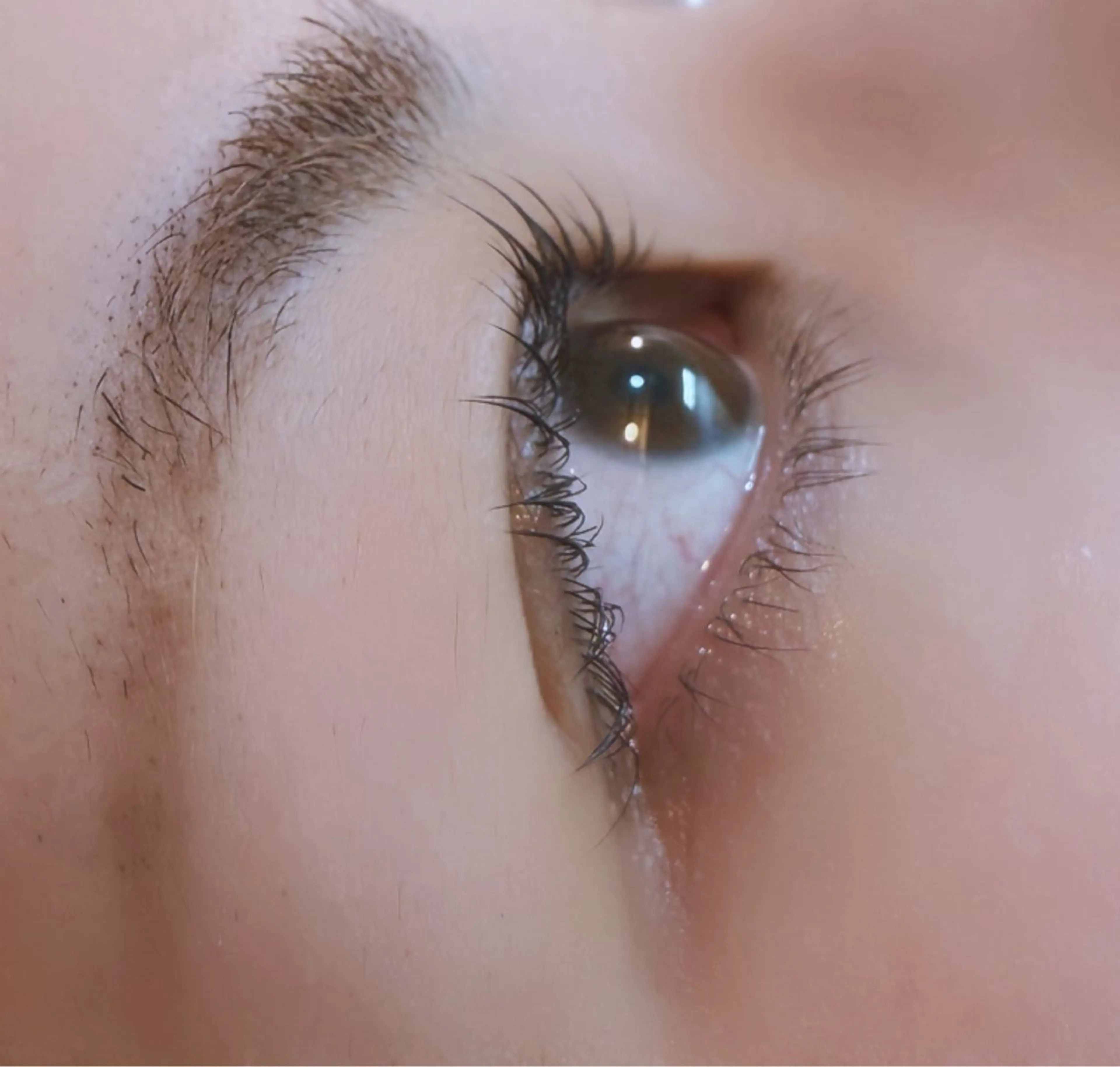 マツエク・マツパ パリジェンヌラッシュリフト EYELA 𝑴𝑨𝑯𝑶🍒の眉毛・アイブロウイメージ