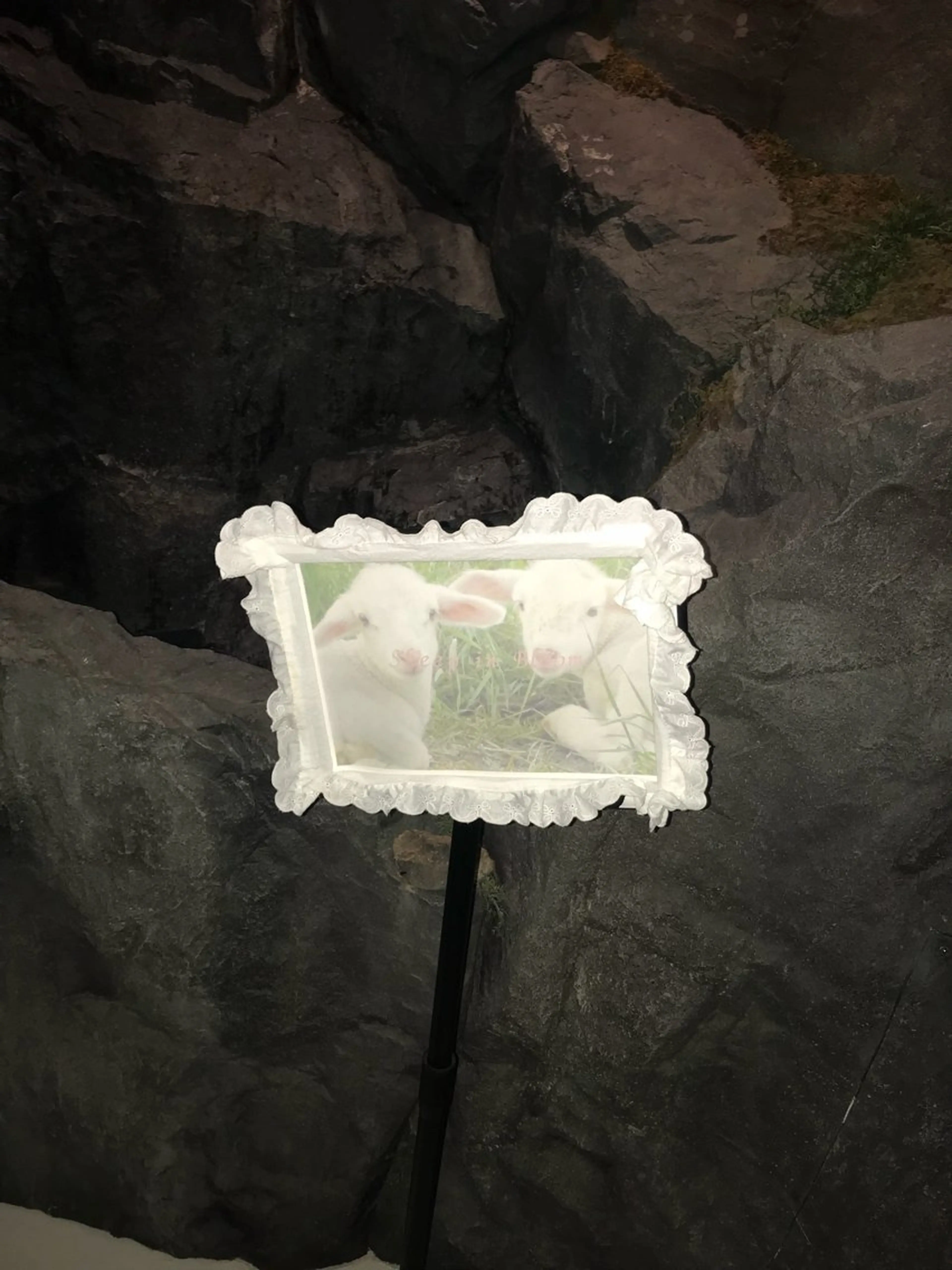 カラー カット ヘアカラー ハイトーン/ハッシュ カット/senaのヘアスタイル