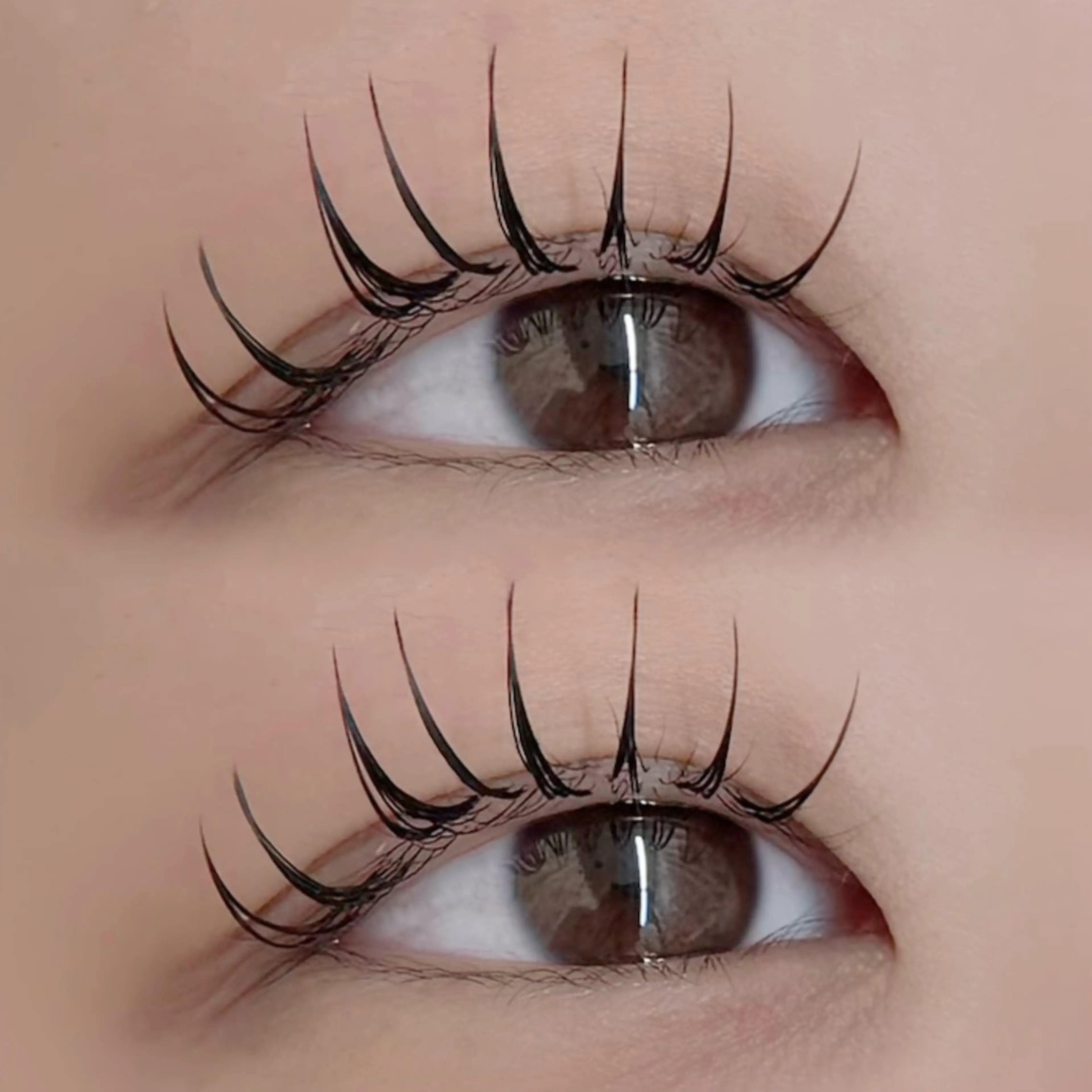 マツエク・マツパ マツエク minion南浦和店所属・南浦和 yuno🐱のマツエク・マツパデザイン