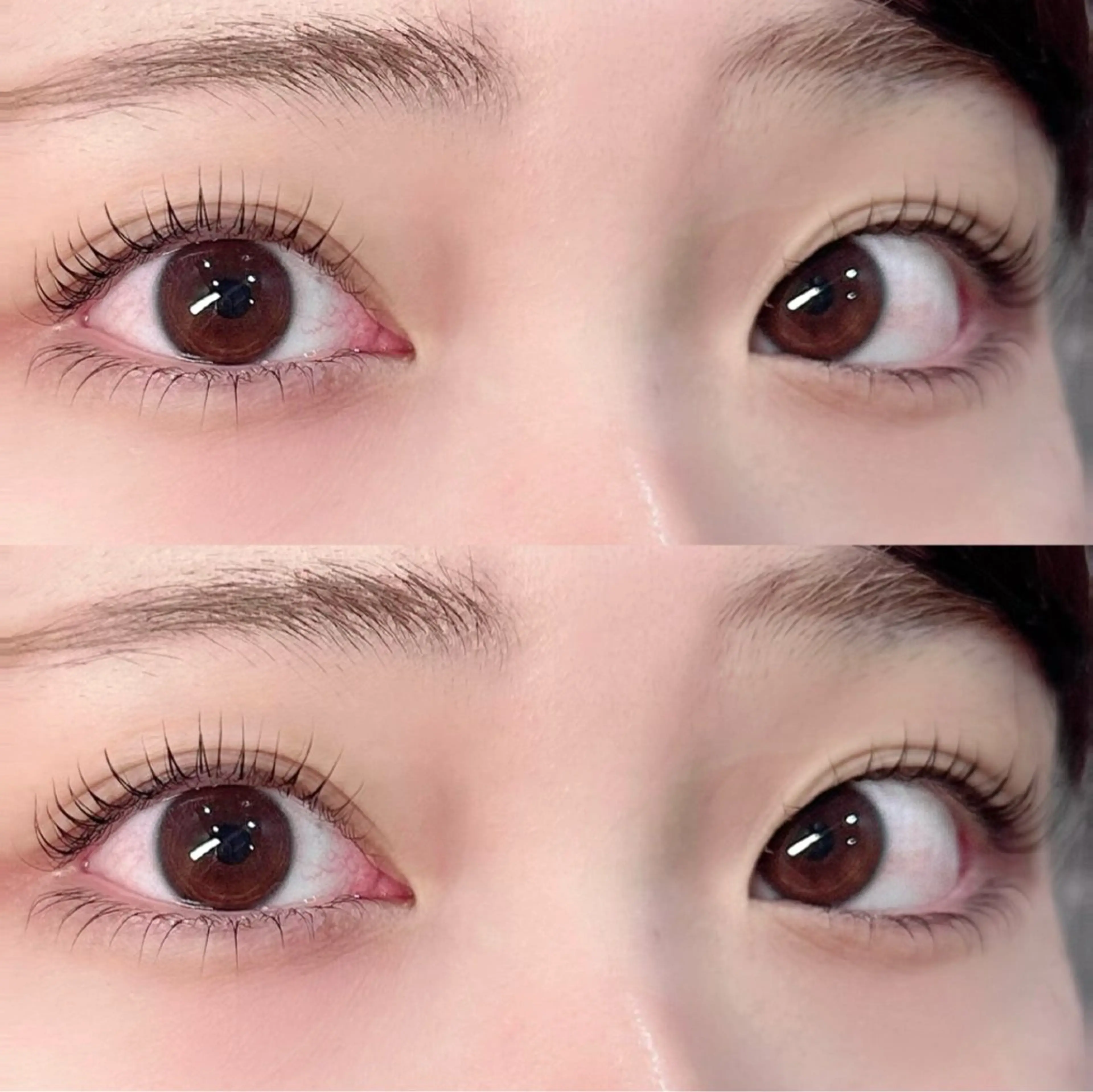 【最新技術】❕栄養補給でやればやるほど太くなる❕マイラミネーション✨まつ毛パーマ上下の写真