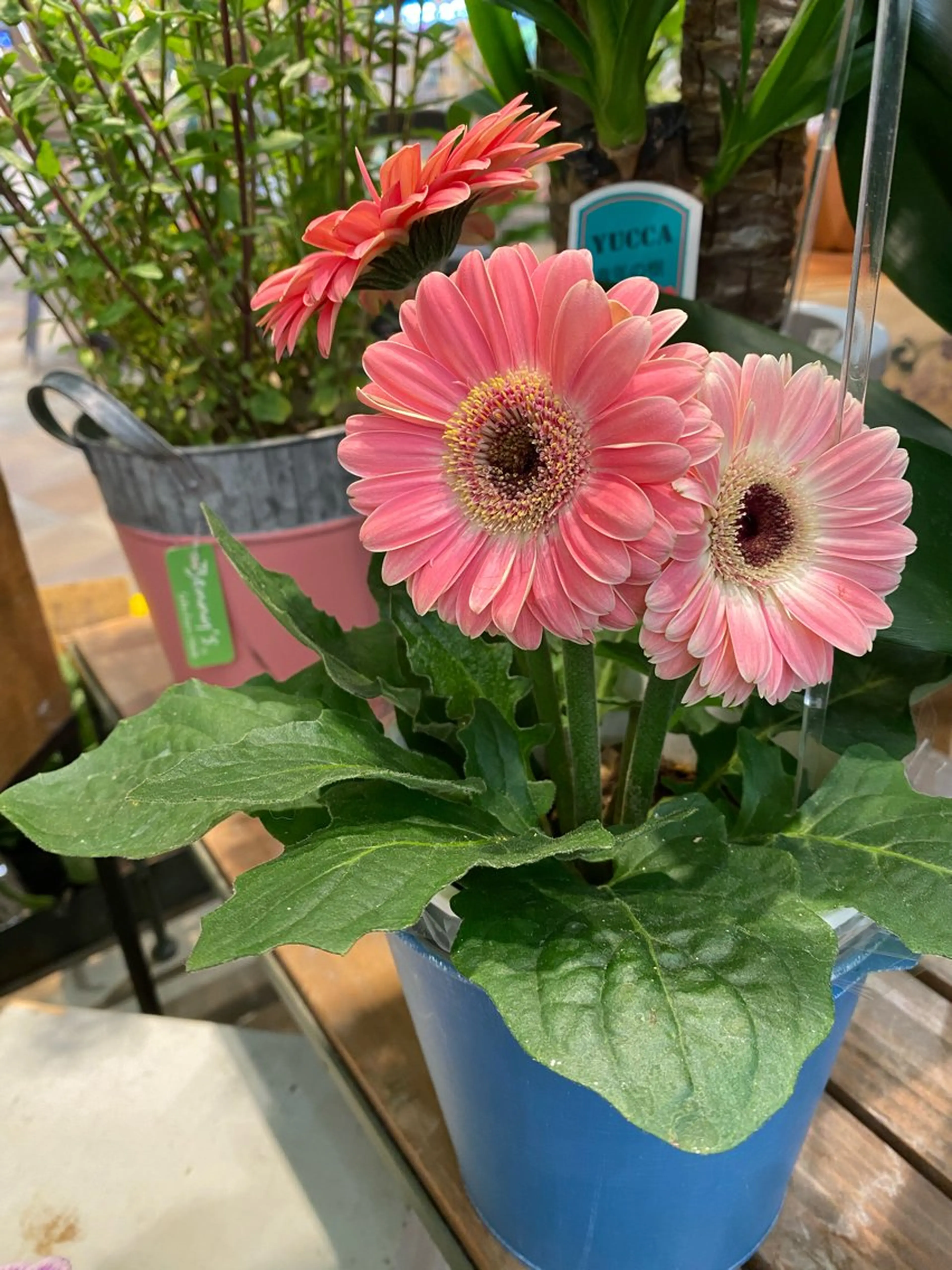 ネイルサロン& スクールGONAのネイルデザイン