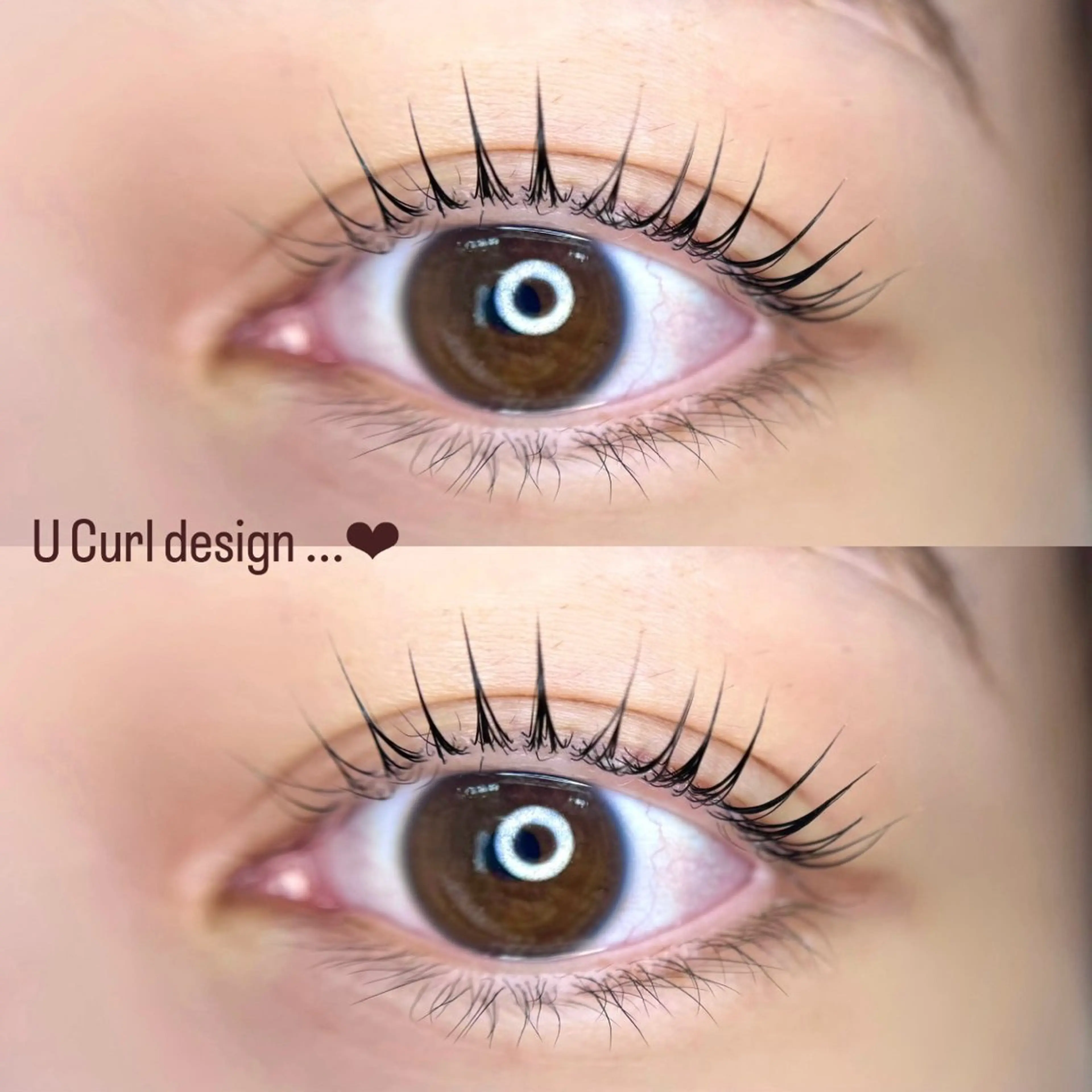 マツエク・マツパ arce -ｱﾙｾ- 🔅ヒマワリのマツエク・マツパデザイン