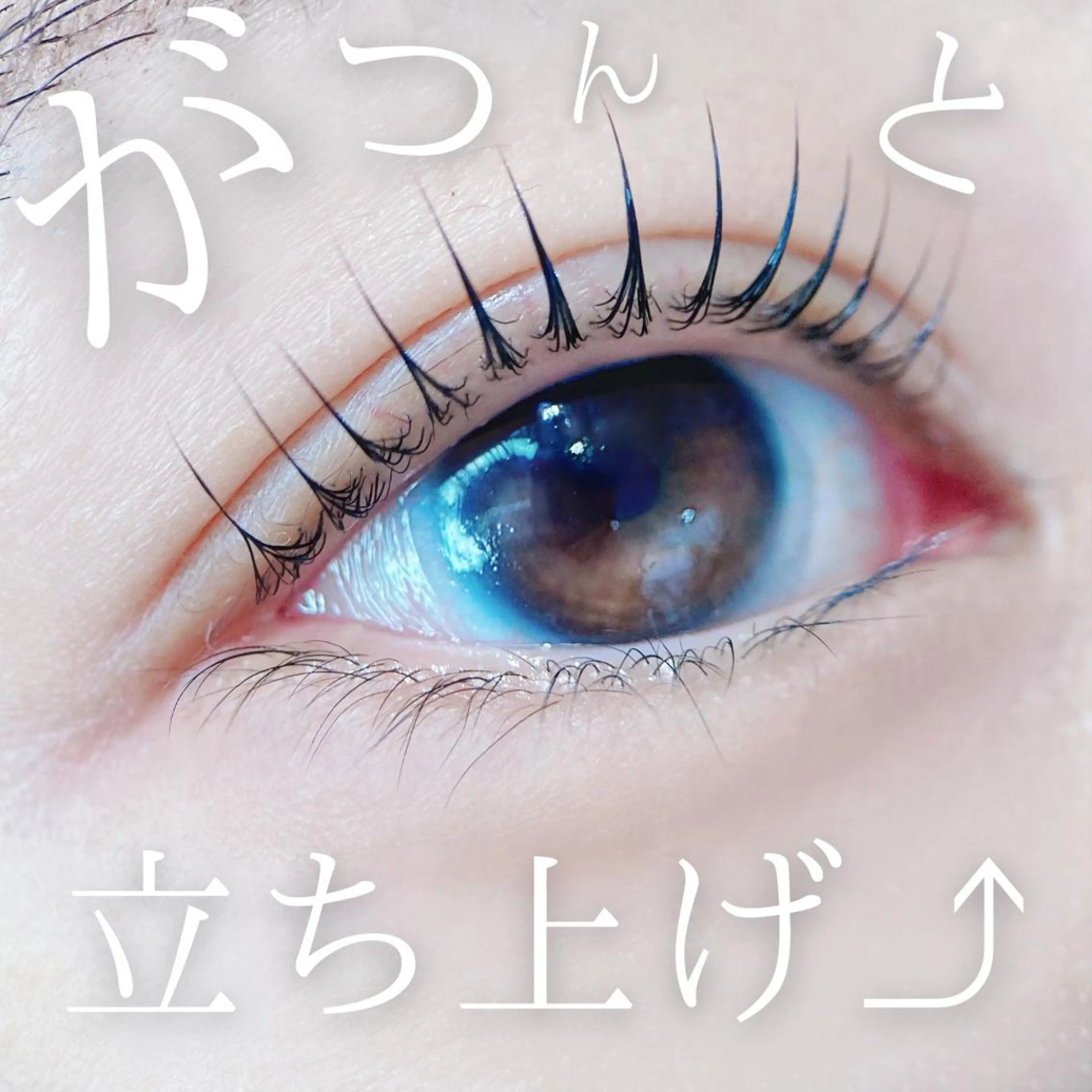 マツエク・マツパ パリジェンヌラッシュリフト モチ2倍パリジェンヌ 超えまつパ！長谷美希のその他イメージ