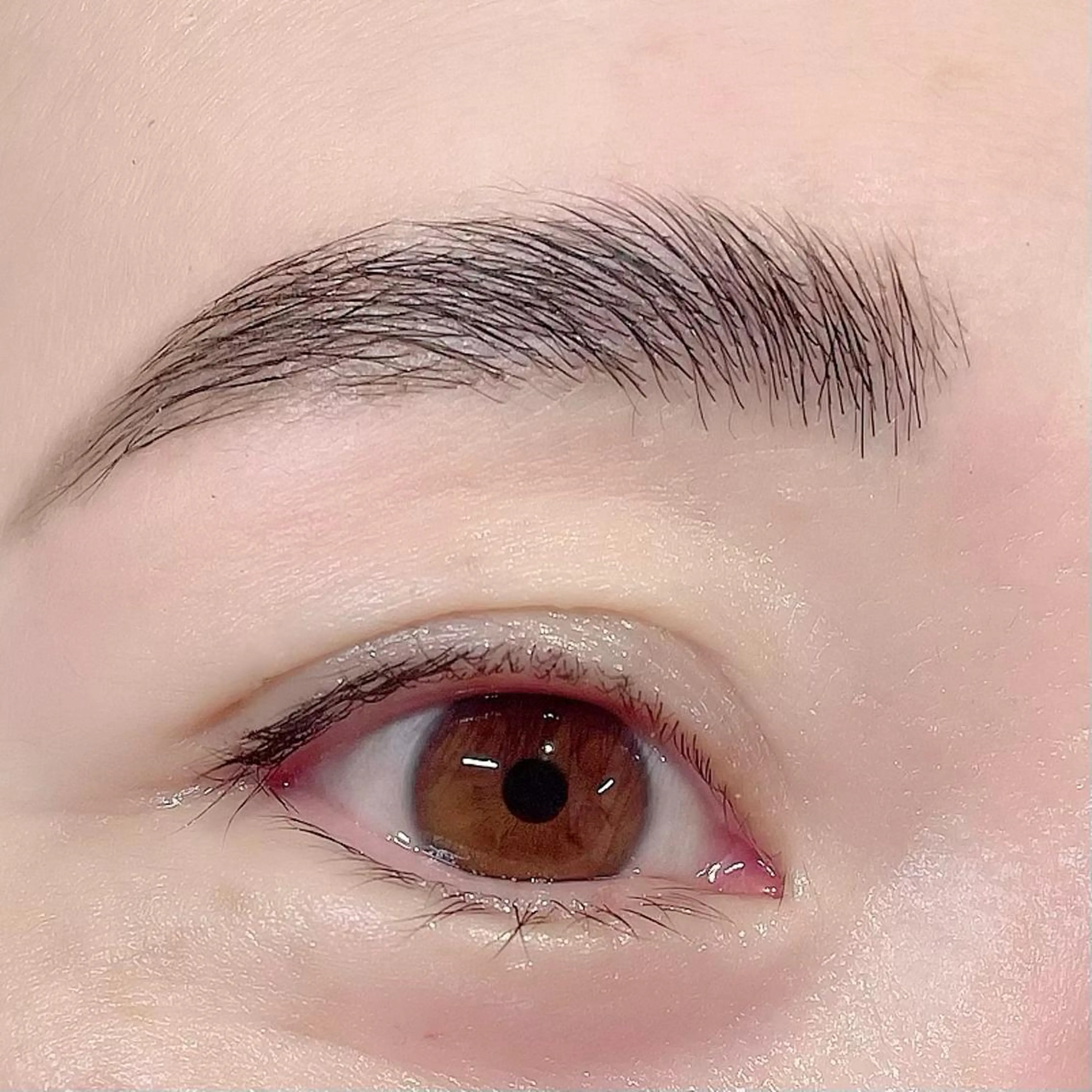 アイブロウ ハリウッドブロウリフト EYEMAJIC Pure★高見の眉毛・アイブロウイメージ