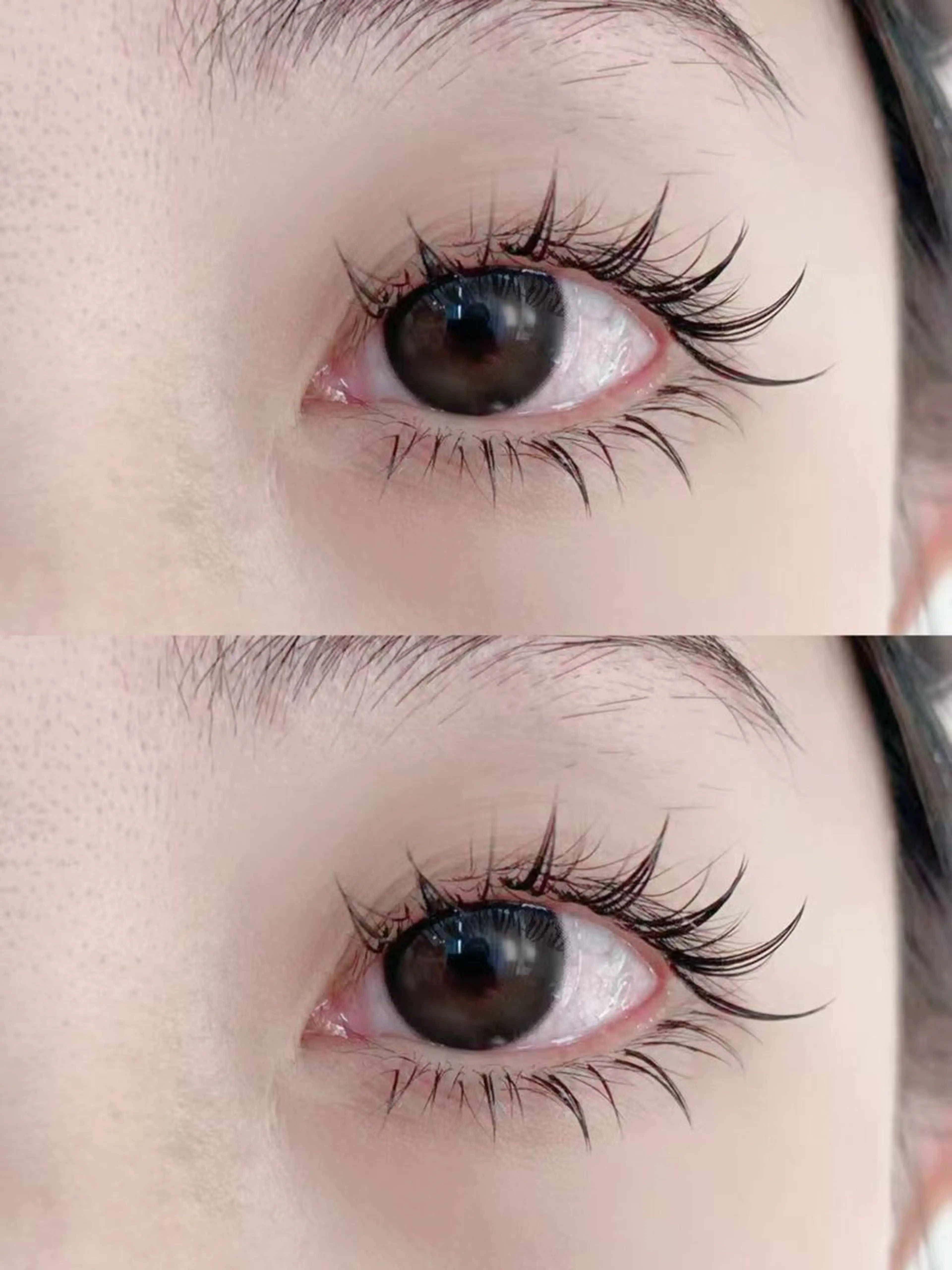 マツエク・マツパ 付け放題 バインドロック 束感まつ毛 カラーマツエク フラットラッシュ マツエク Ｍ salon アイラッシュのマツエク・マツパデザイン