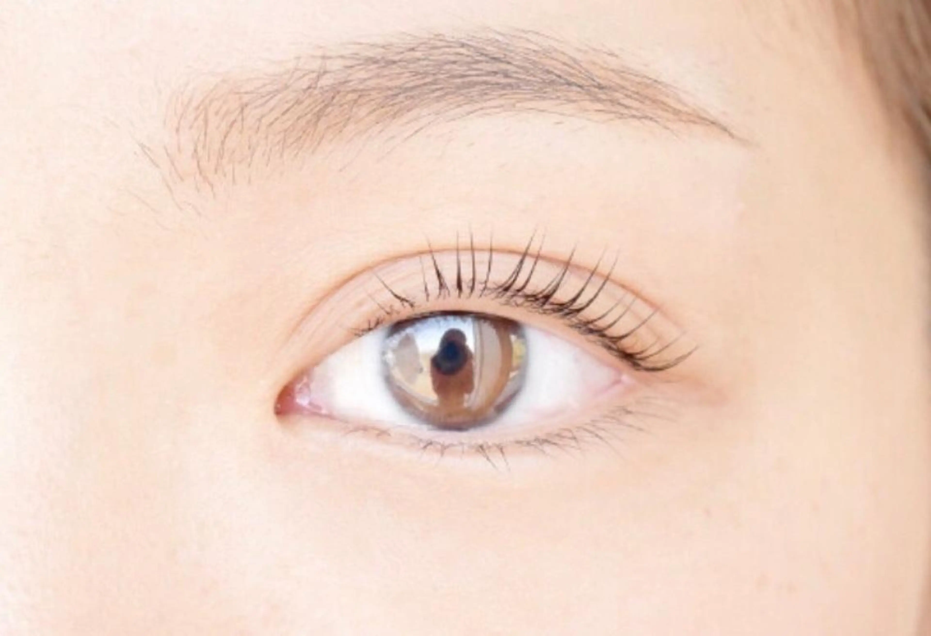 【平日ご新規様限定】美眉アイブロウスタイリング 眉wax 1日2名様限定【¥6600→¥4000】の写真