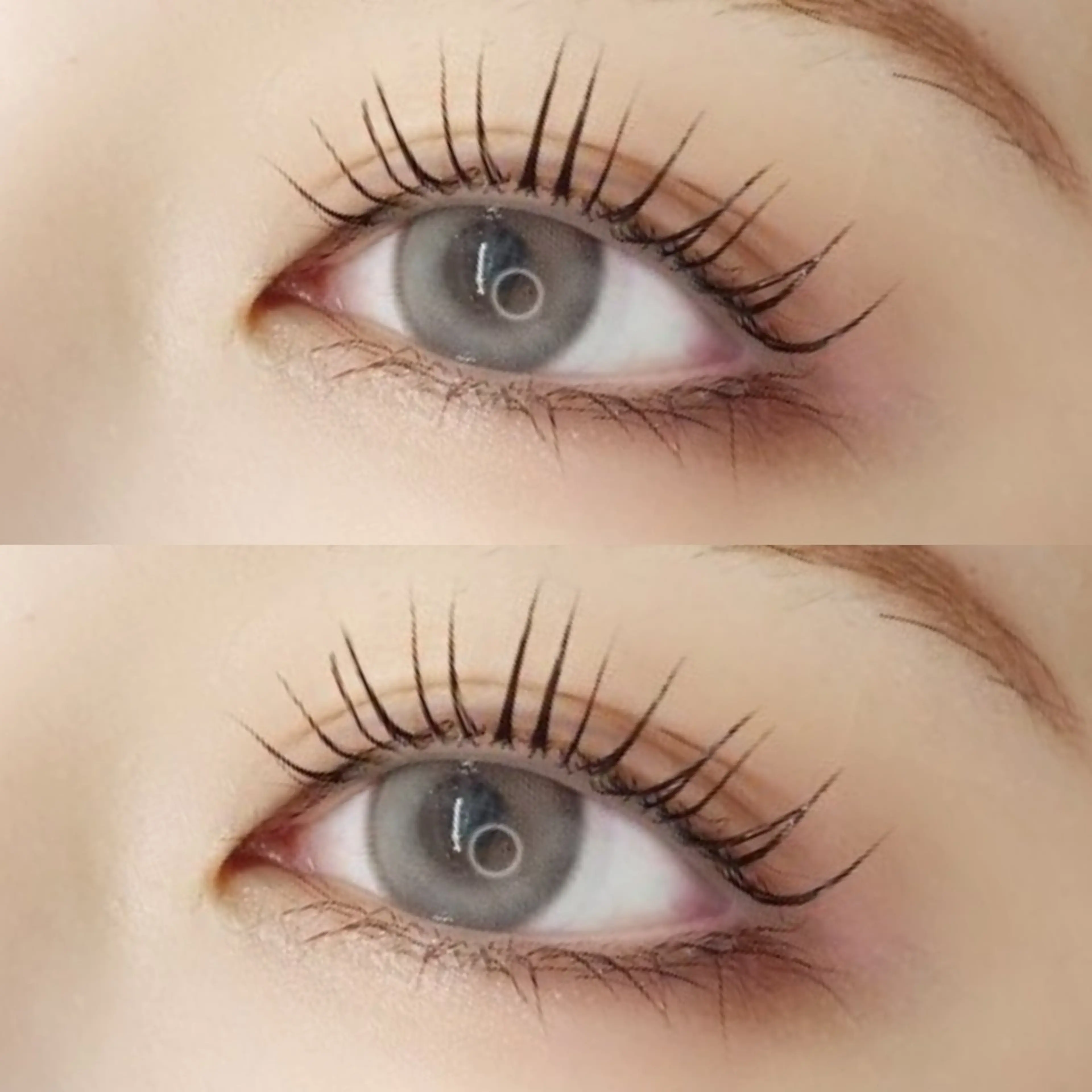 【新規】❤︎パリジェンヌラッシュリフト❤︎の写真