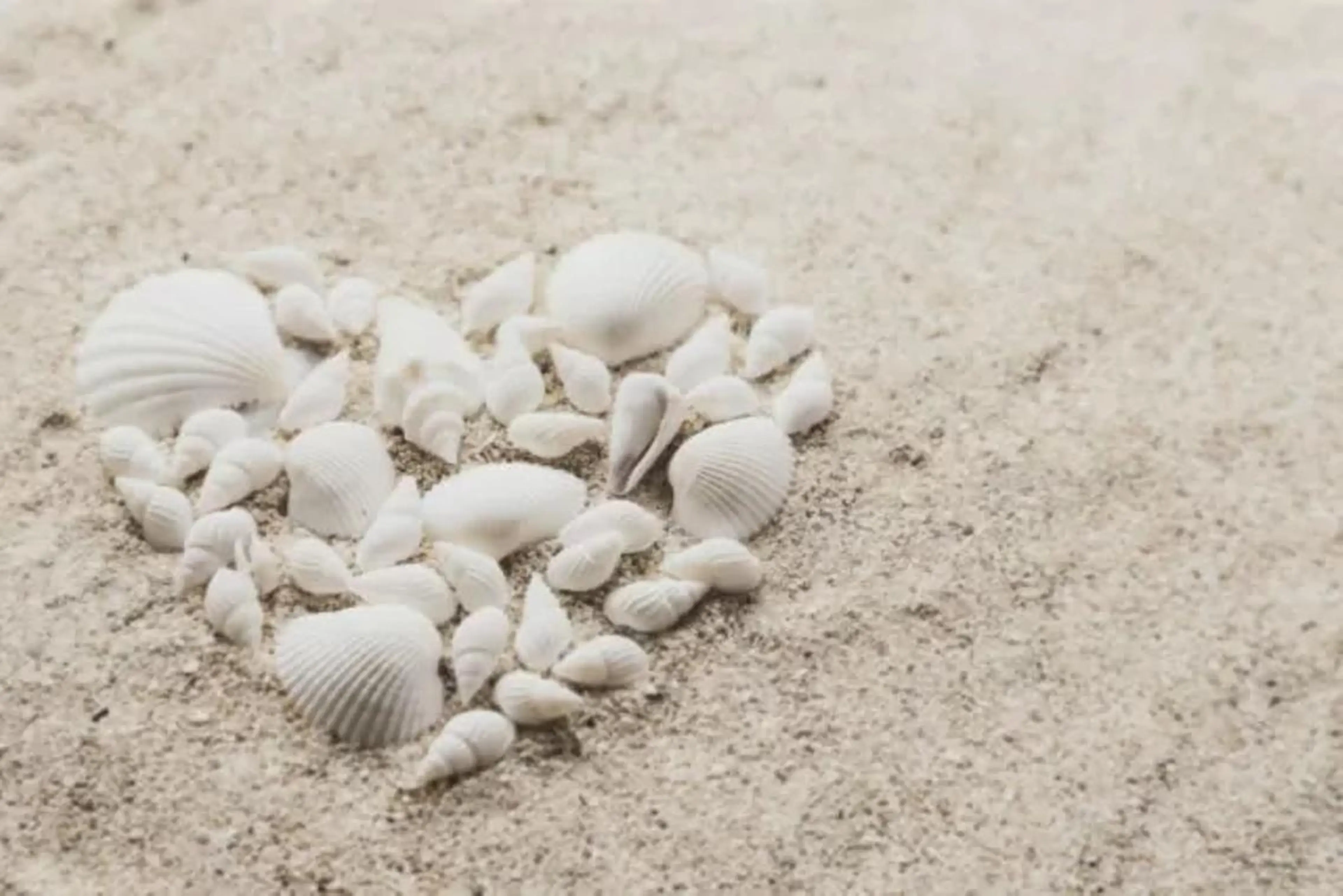 マツエク・マツパ アイブロウ やまもと あいらのマツエク・マツパデザイン