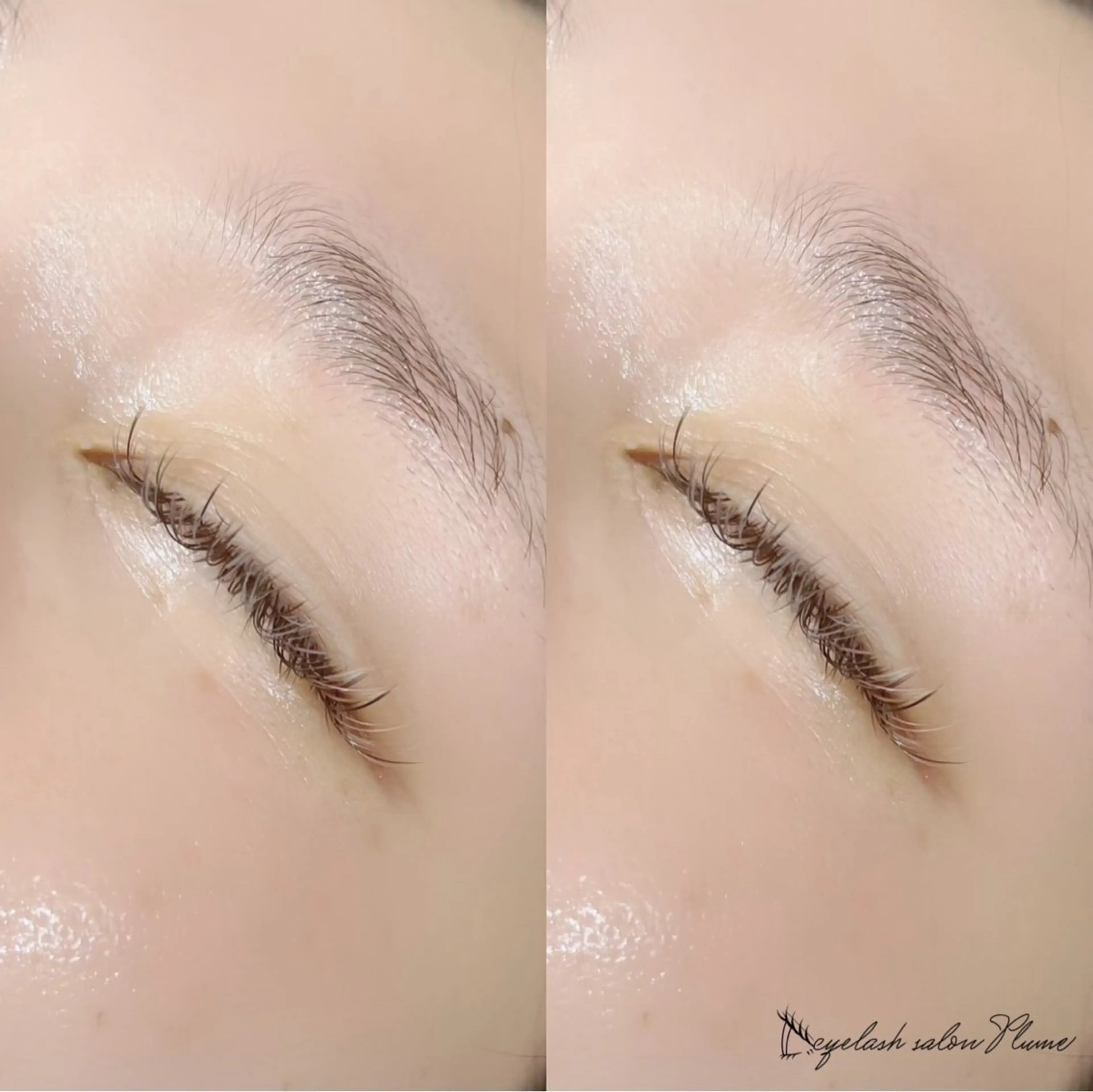 マツエク・マツパ マツエク まつ毛、毛穴ケア 専門サロンPlumeのマツエク・マツパデザイン