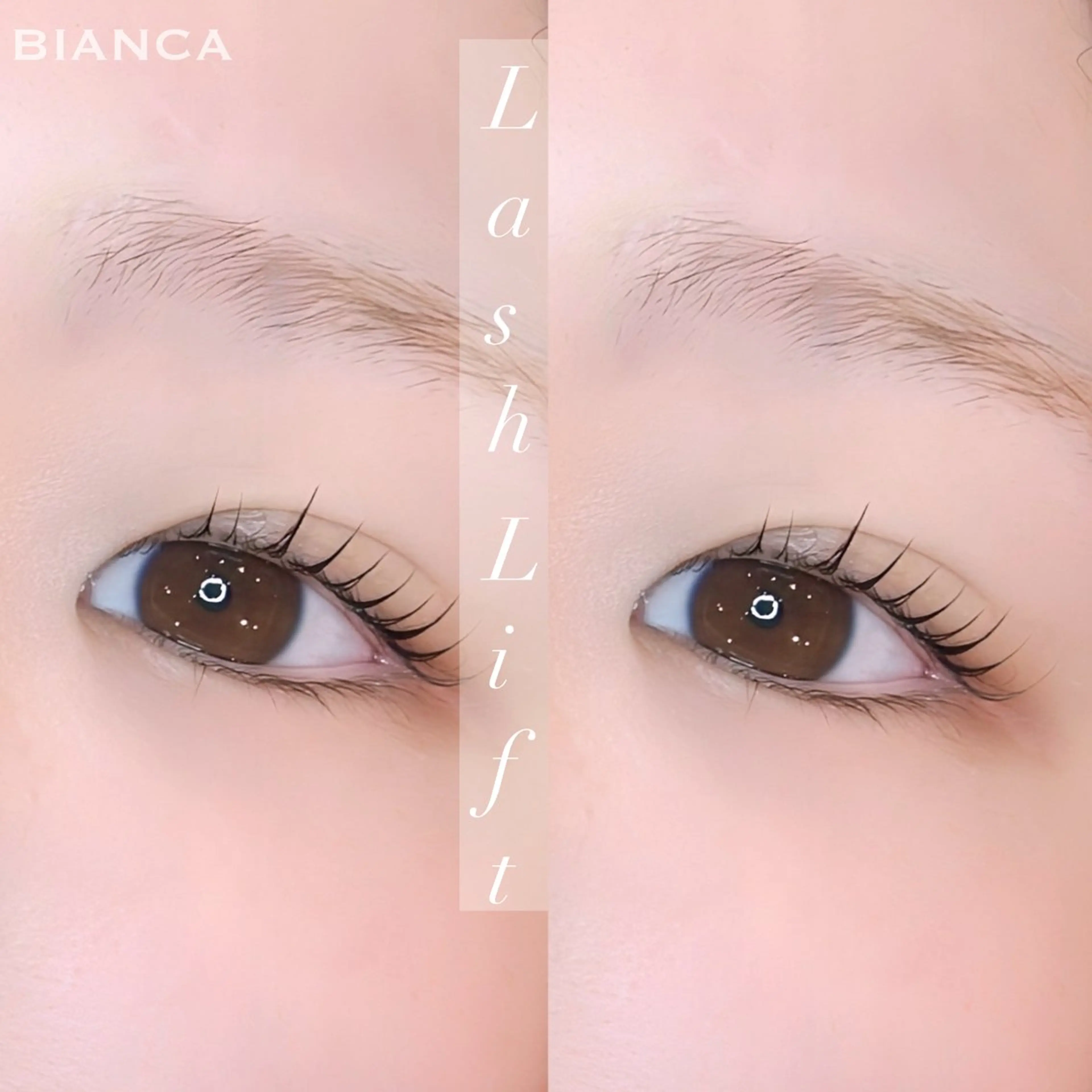 マツエク・マツパ BIANCA/上大岡 /YUKARI/束感のマツエク・マツパデザイン