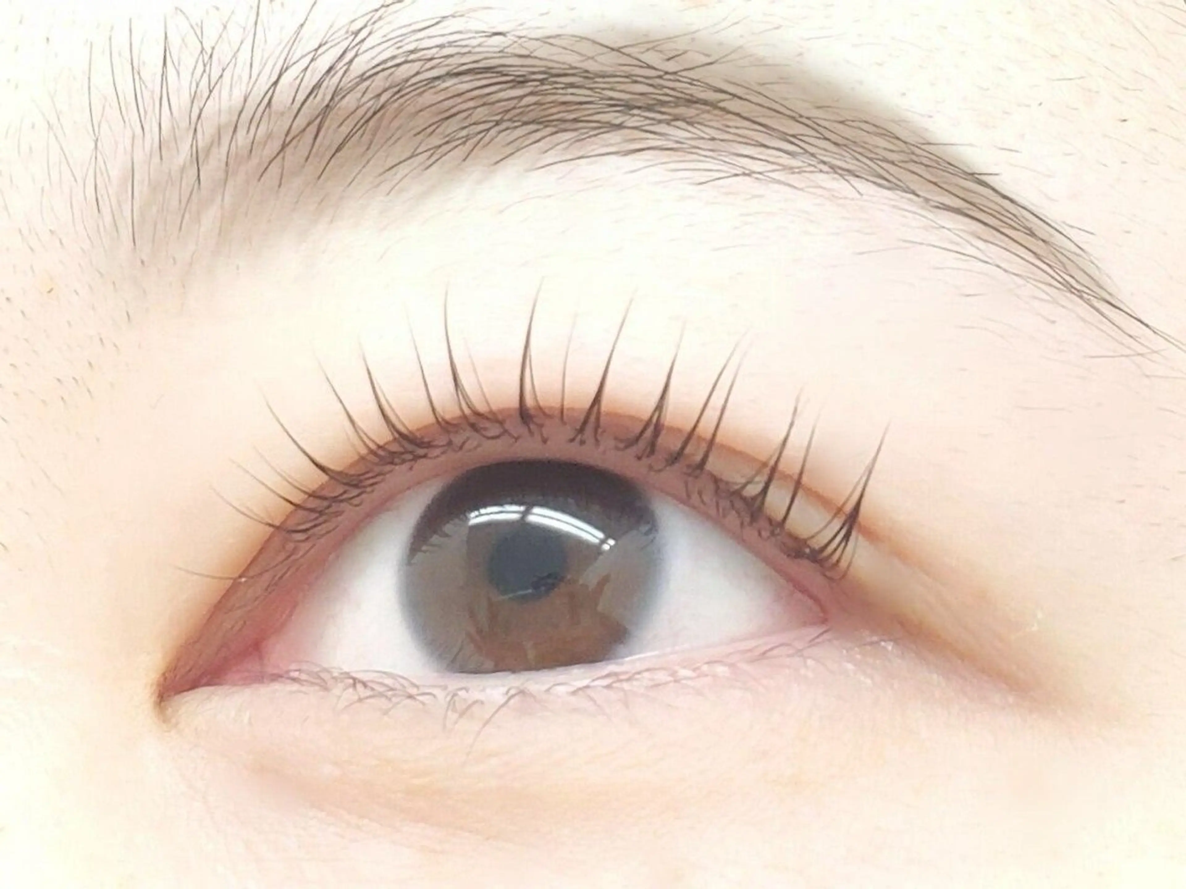 🌷パリジェンヌラッシュリフト上下orまつ毛パーマ上下🌷の写真