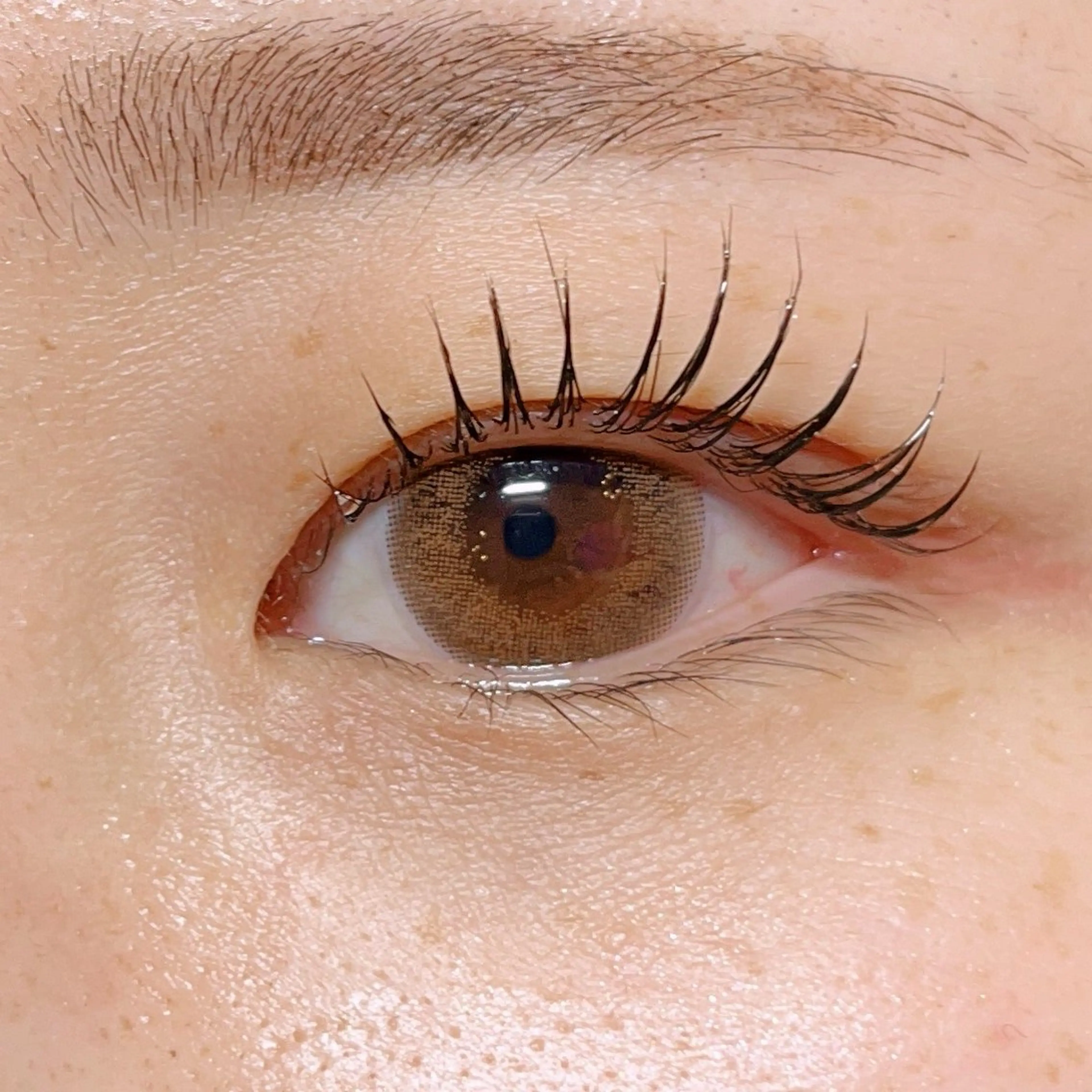 マツエク・マツパ マツパ sHeeR【シアー】 ハマナカのマツエク・マツパデザイン