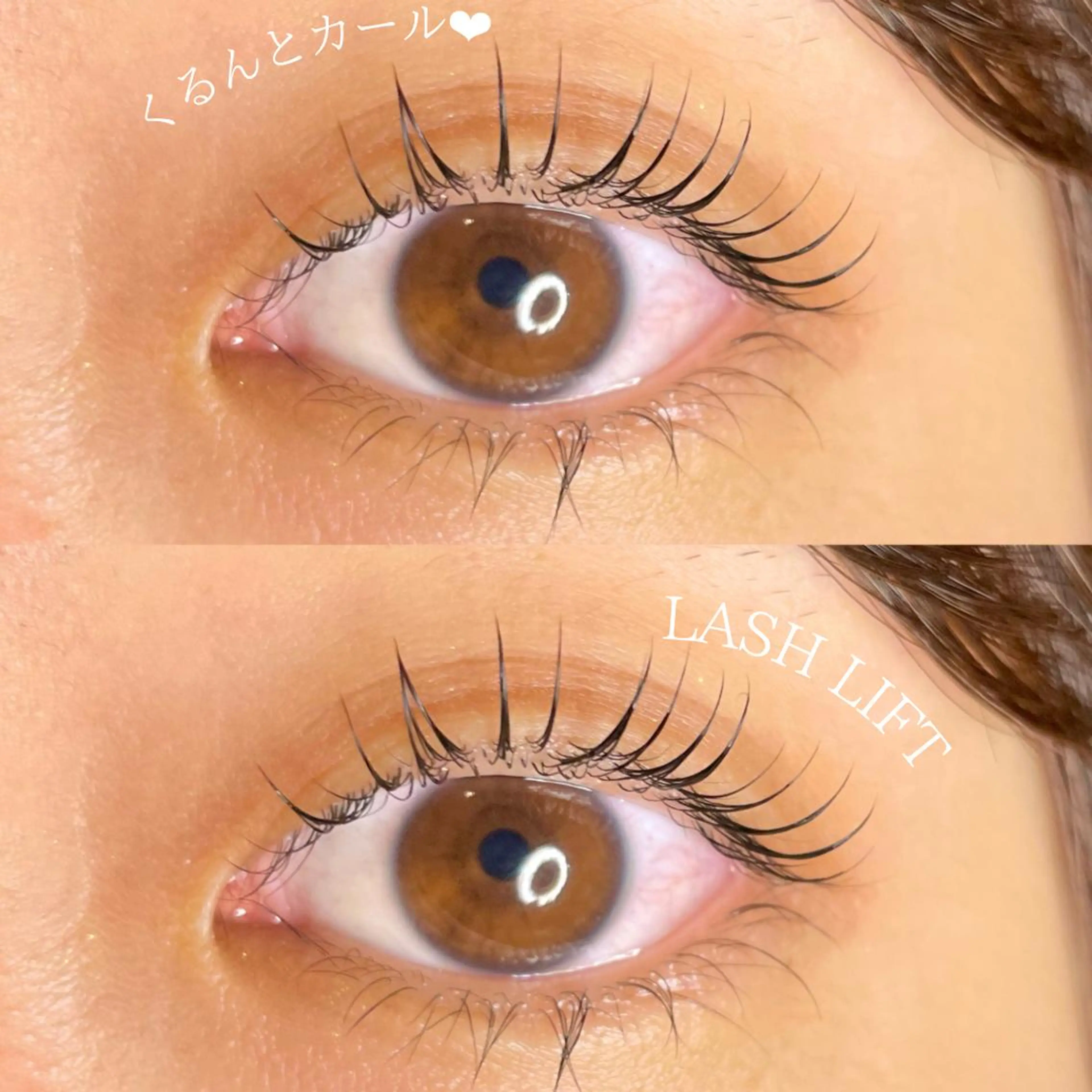 ⭐️期間限定 学割⭐️まつ毛パーマ ラッシュリフト　2回目以降4900円✨の写真