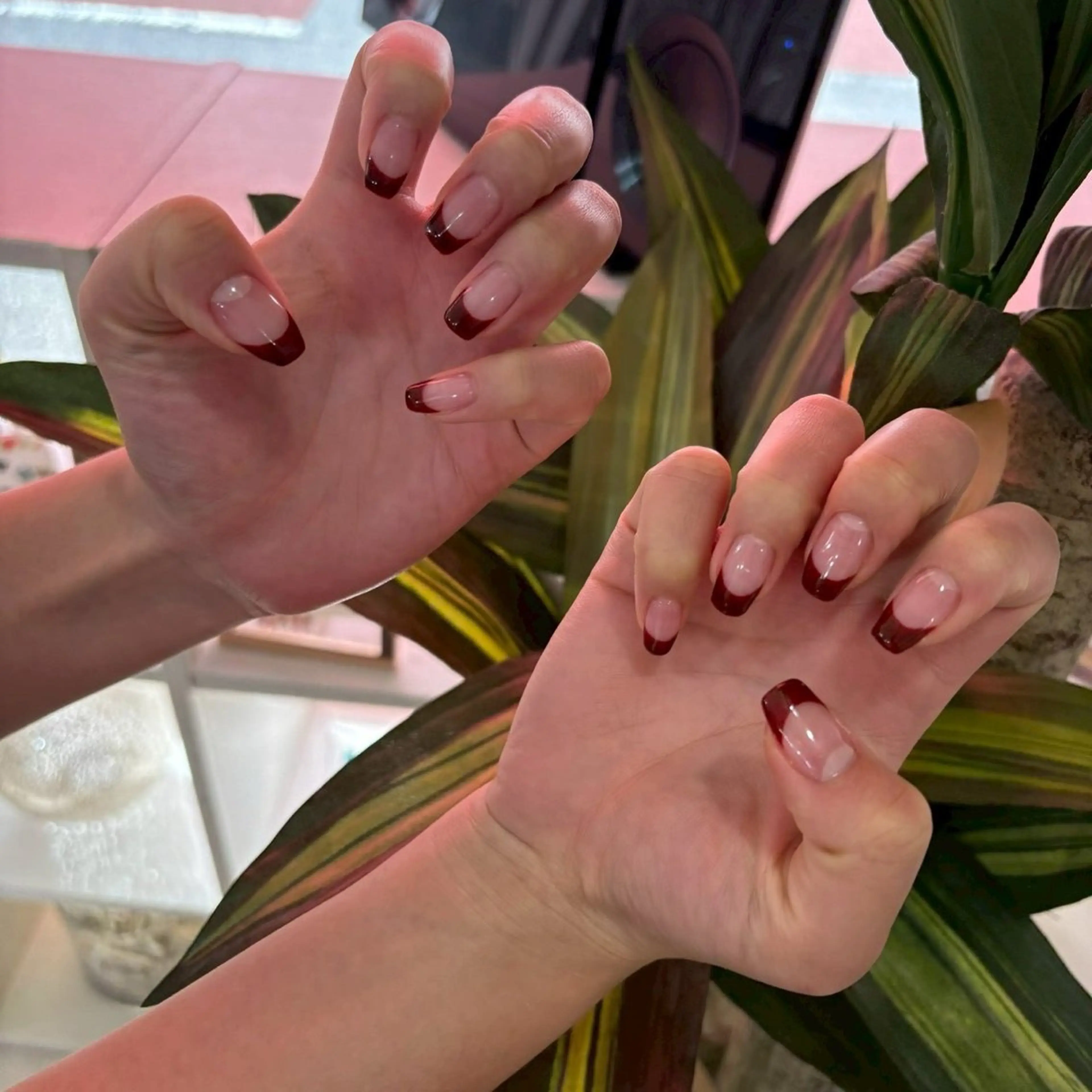 🤍フレンチネイル(オフあり)の写真