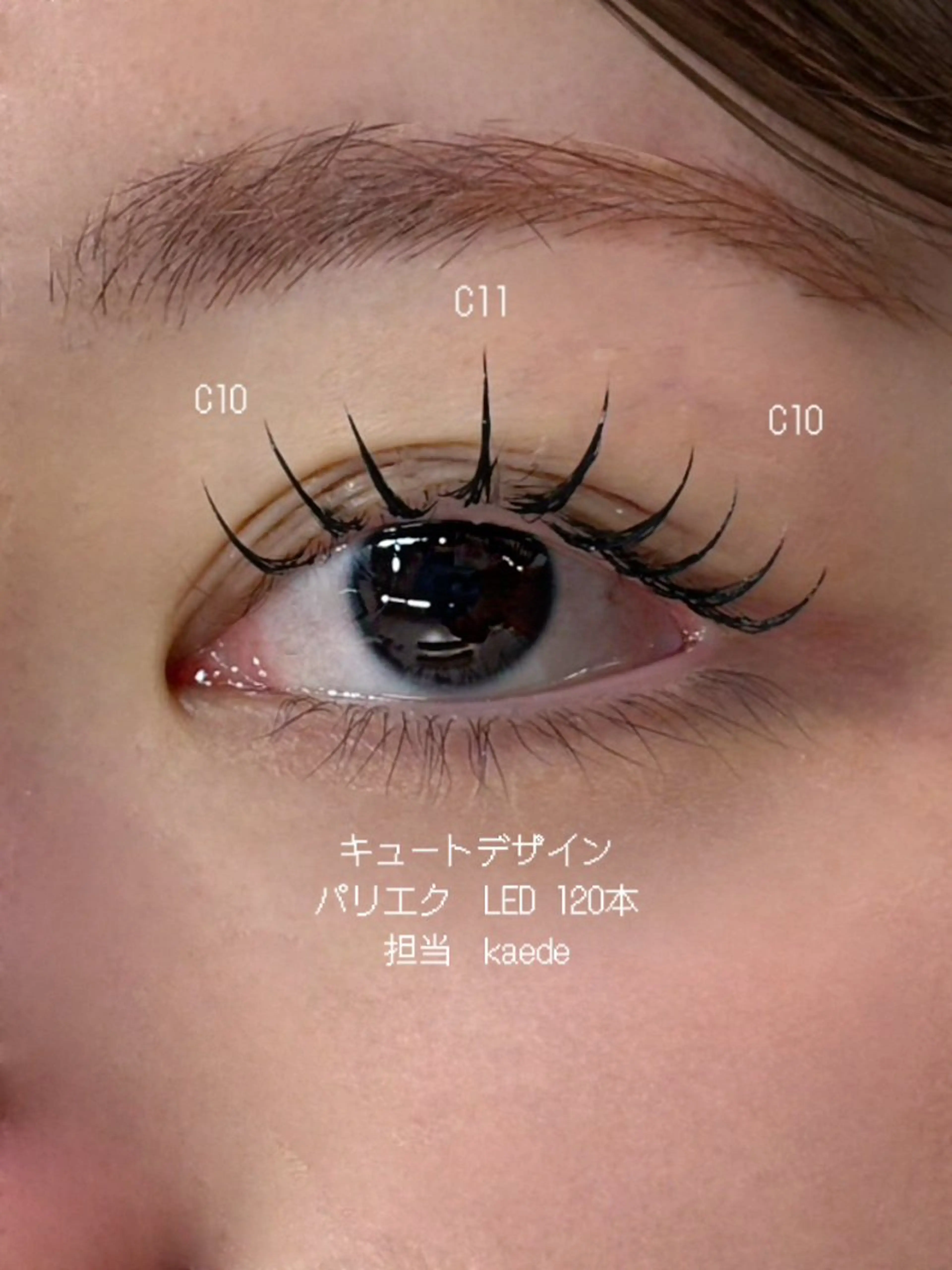 限定【LEDパリエク】韓国束感フラットラッシュ120本の写真