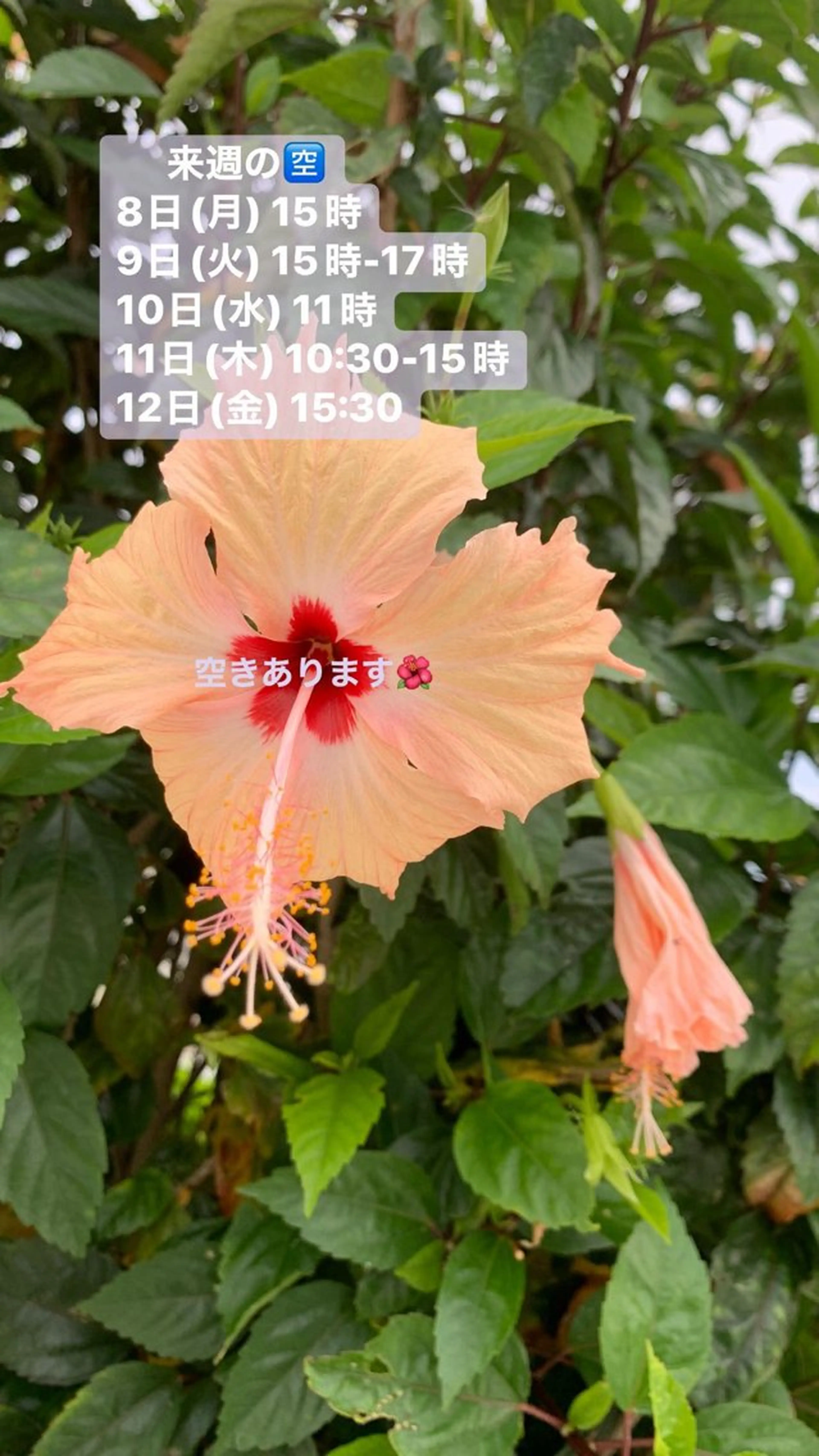 Blue Mist所属・清水 由希のエステ・リラクイメージ