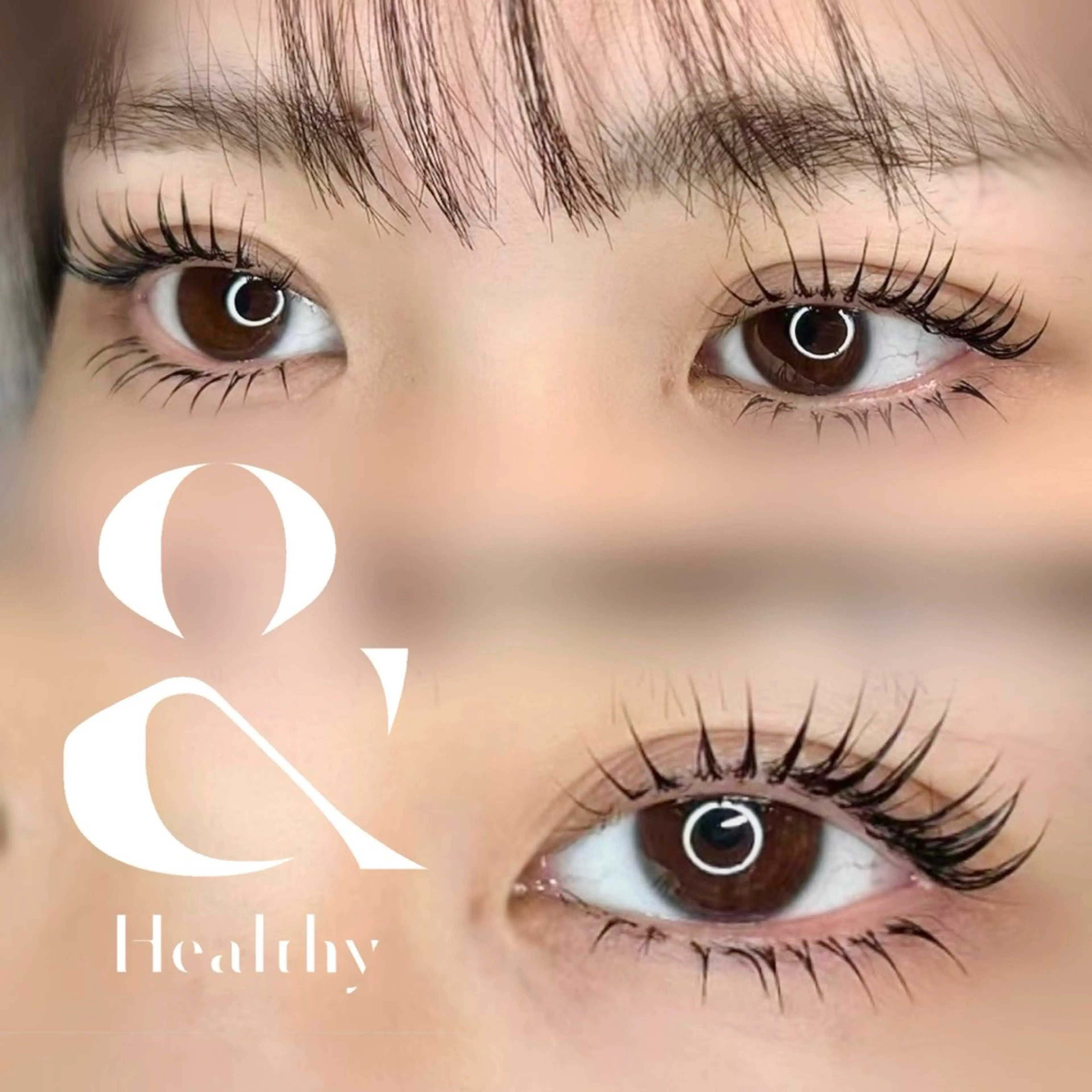 ‎꙳⟡ バインドロック60束 × &Healthy ⟡꙳の写真