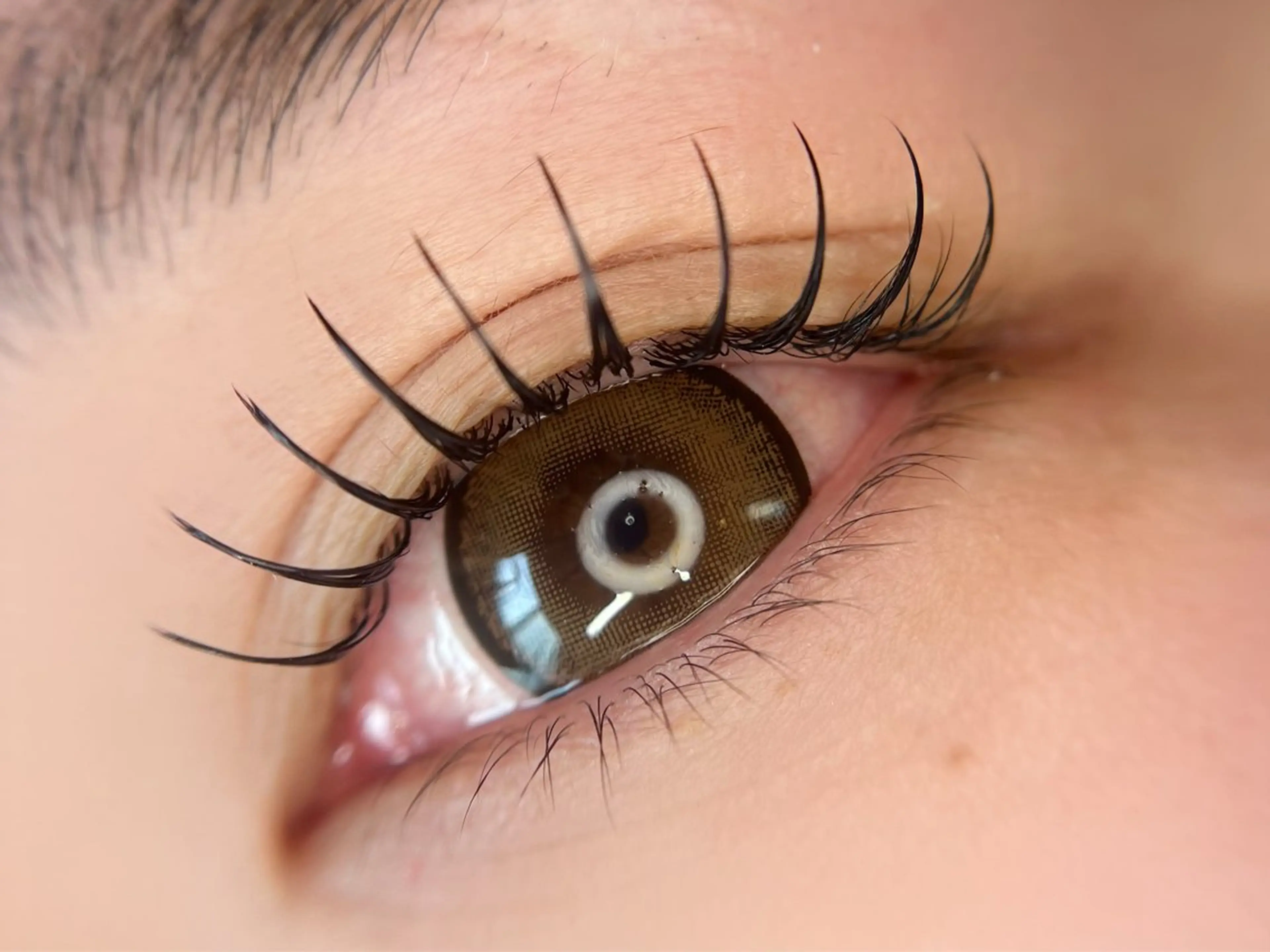 ＆ Healthy 付け放題の写真