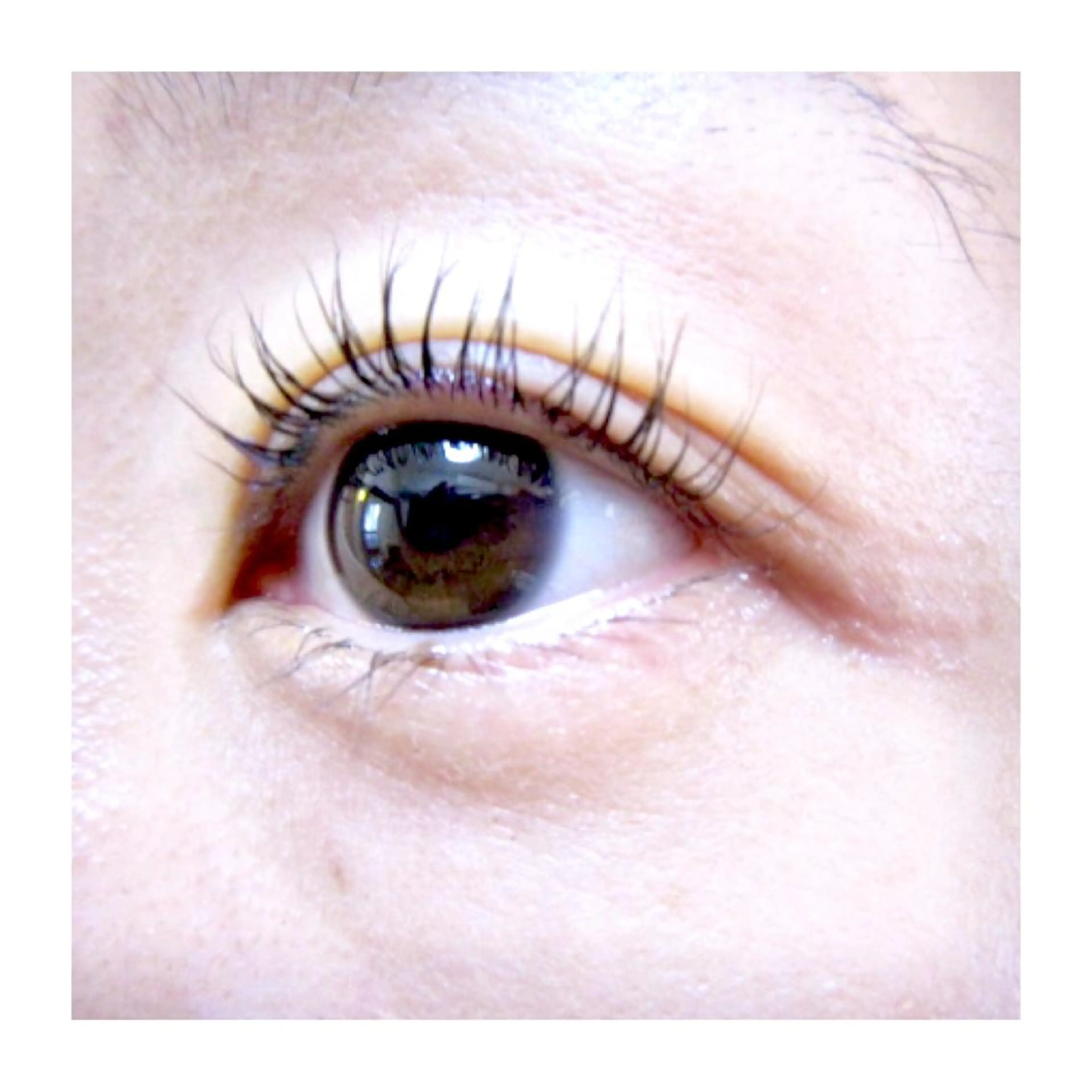 マツエク・マツパ Fura Cocoのマツエク・マツパデザイン