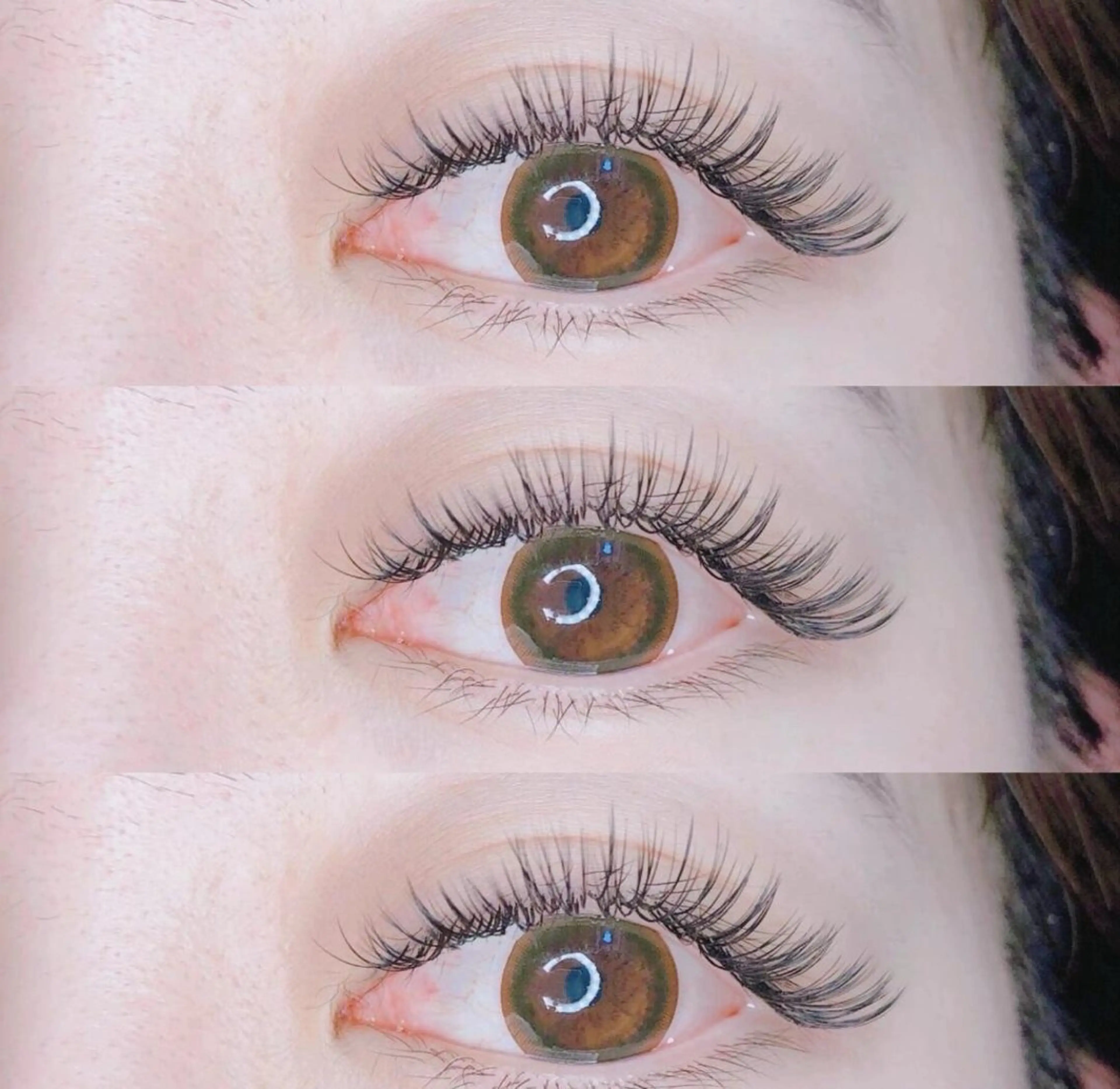 【バインドロンク】 80束6980円　＋LED1500円の写真