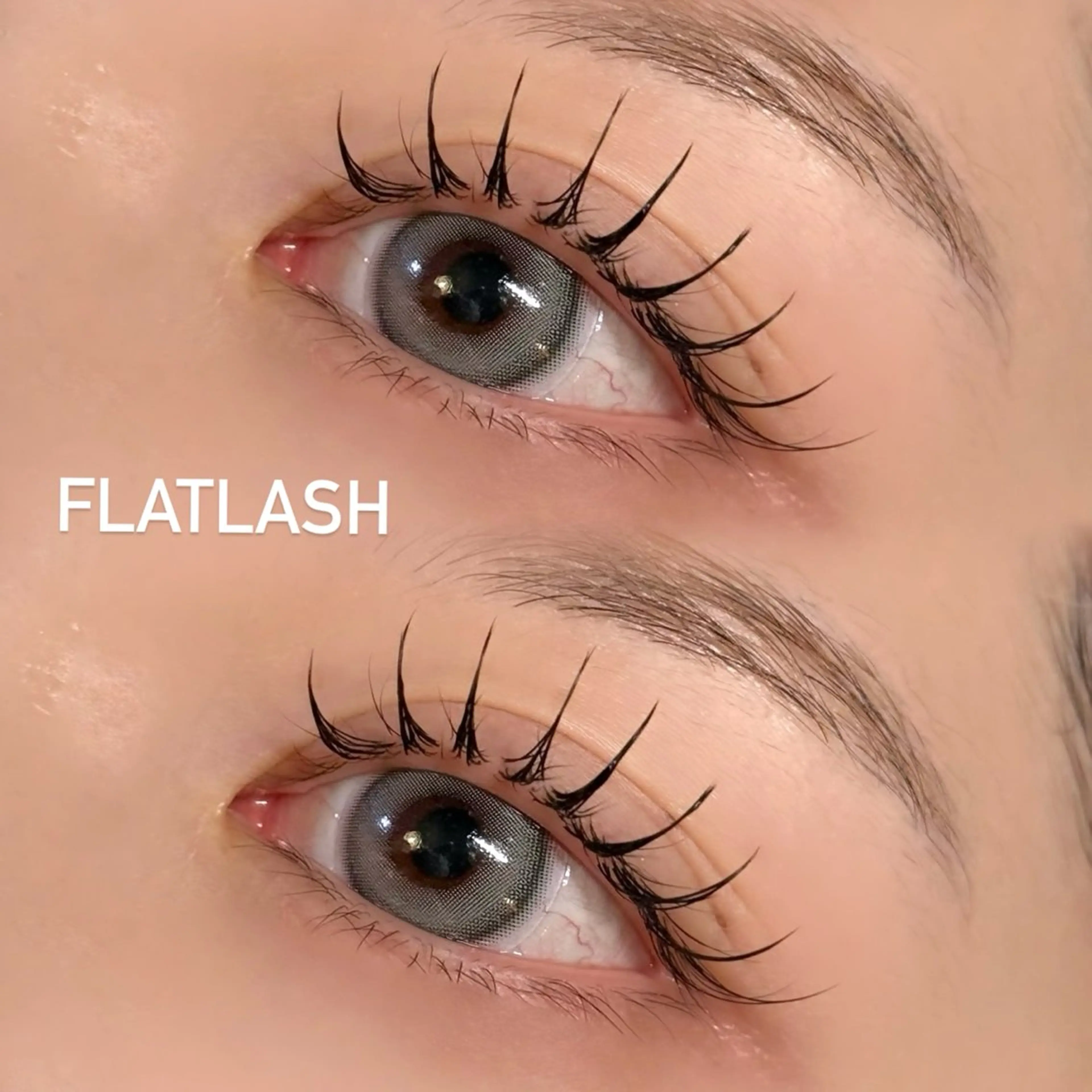 マツエク・マツパ 束感まつ毛 フラットラッシュ 韓国風マツエク ワンホンマツエク マツエク téa. -eyeroom-所属・téa. reina/表参道のマツエク・マツパデザイン