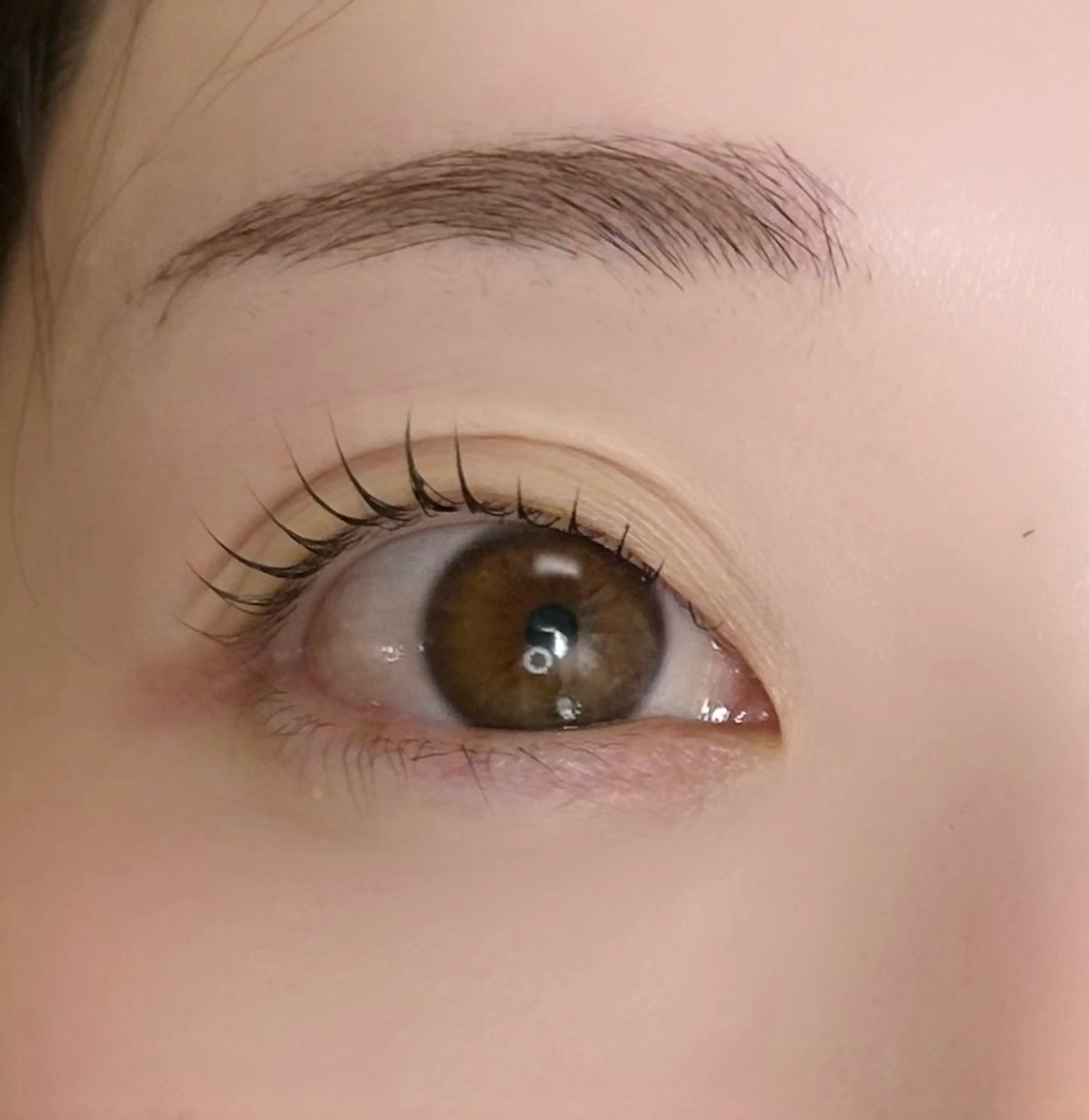 マツエク・マツパ マツパ Twinkle 恵比寿店・nem.room所属・nem.room 恵比寿まつパのマツエク・マツパデザイン