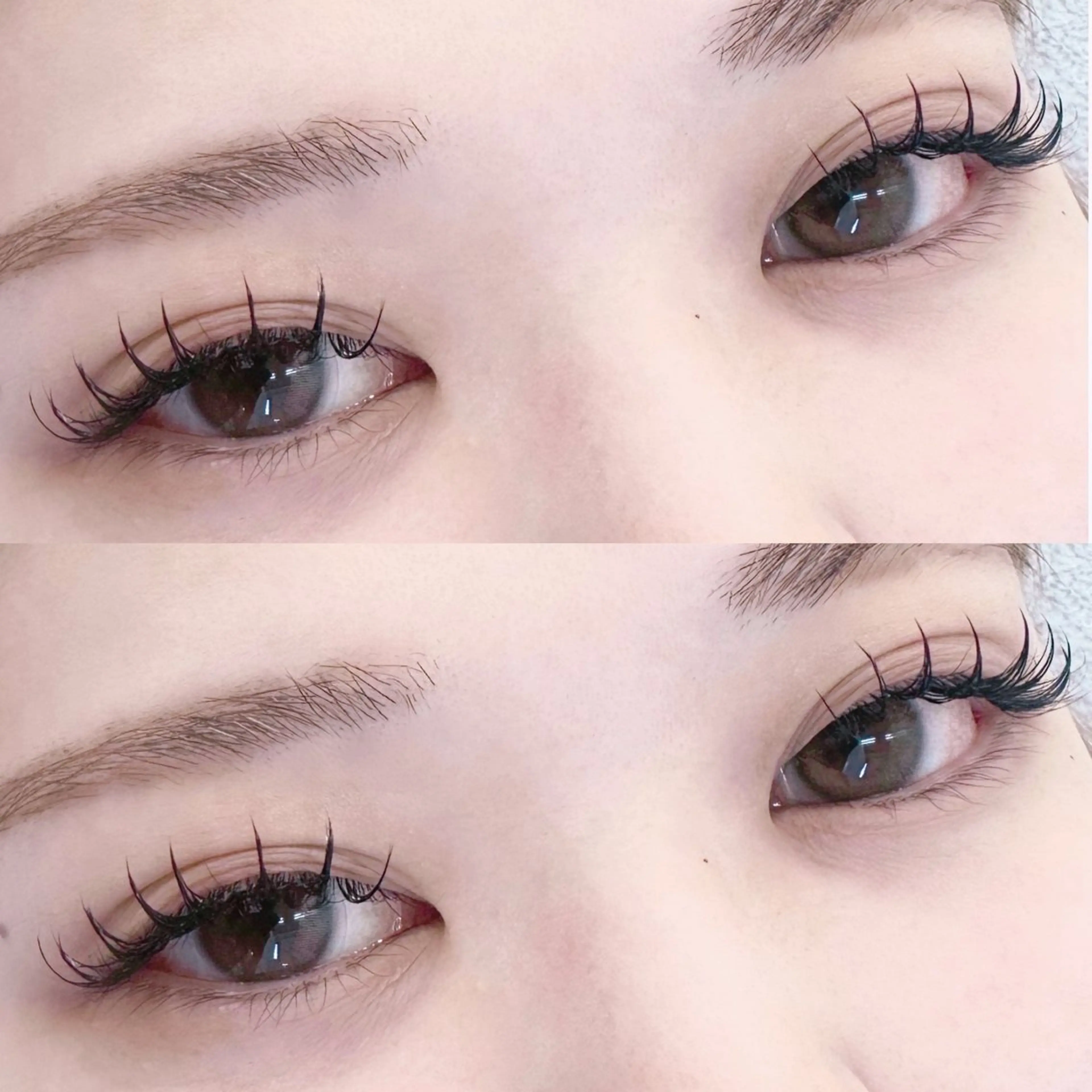 12/26まで限定🎀🤍フラットラッシュ140本の写真