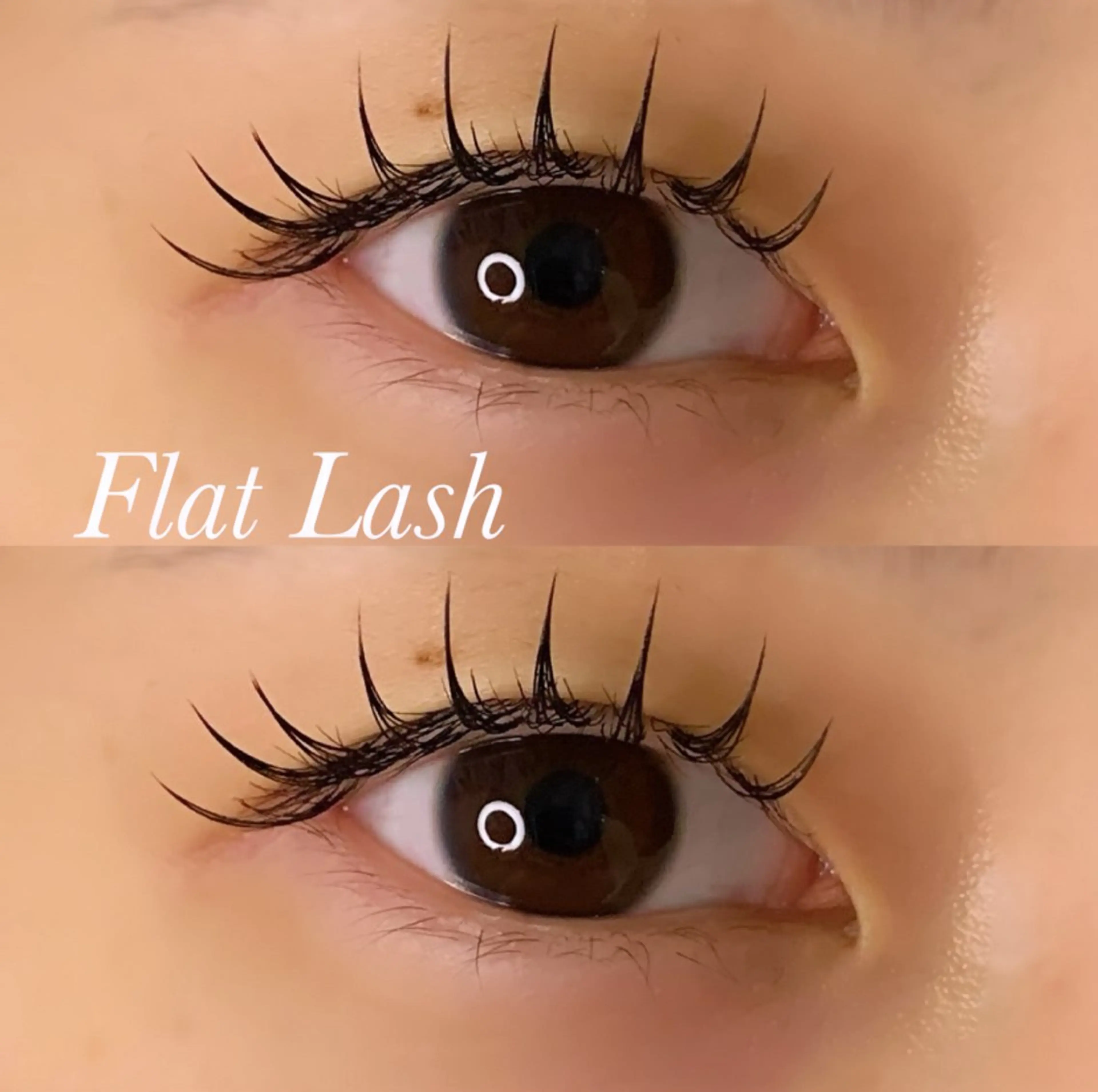 マツエク・マツパ Cカール フラットラッシュ マツエク Ayumi.pro 🍆N《4階》のマツエク・マツパデザイン